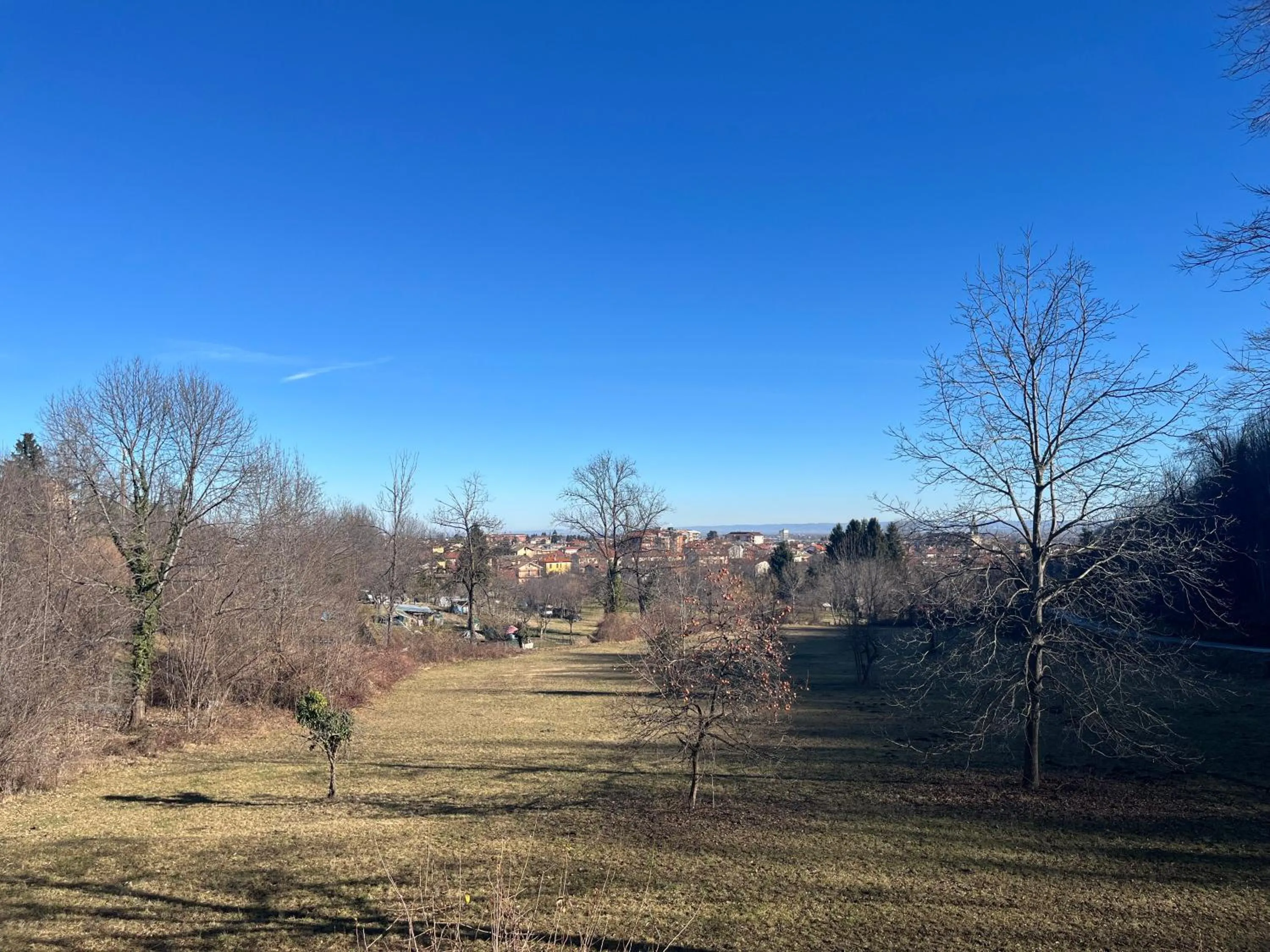 Spring in Il Bosco Incantato