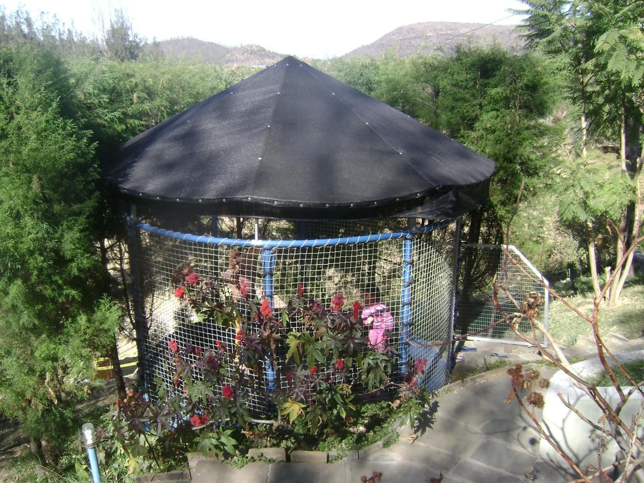 Other in La Pasarela