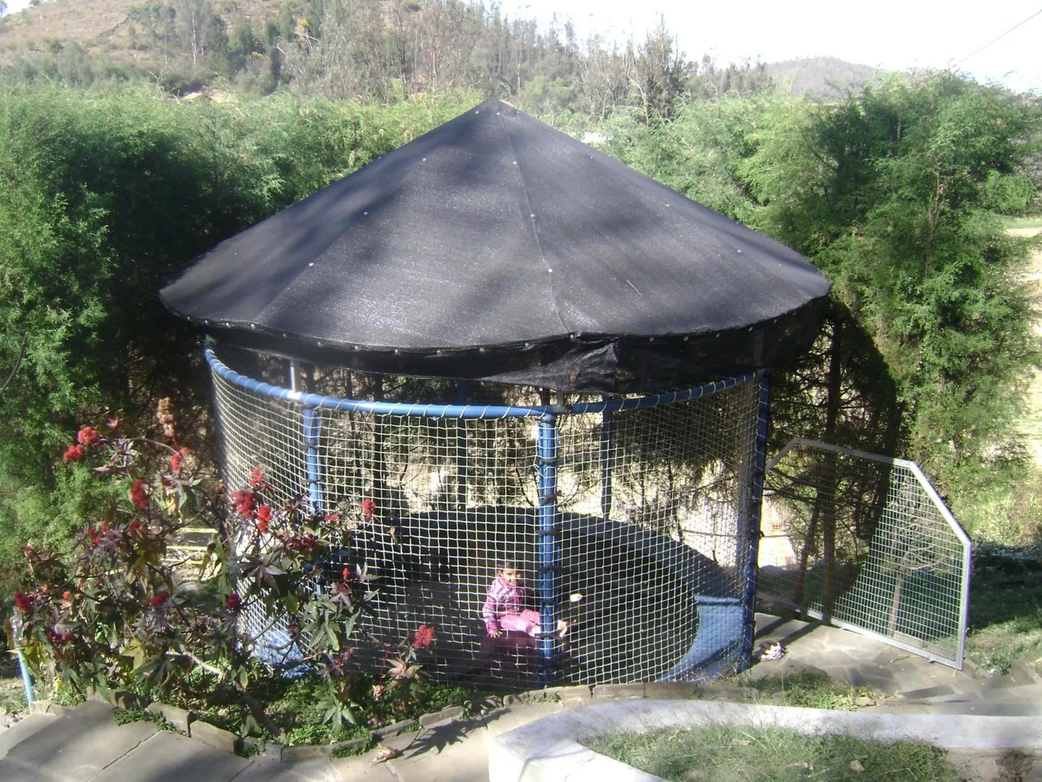 Other in La Pasarela