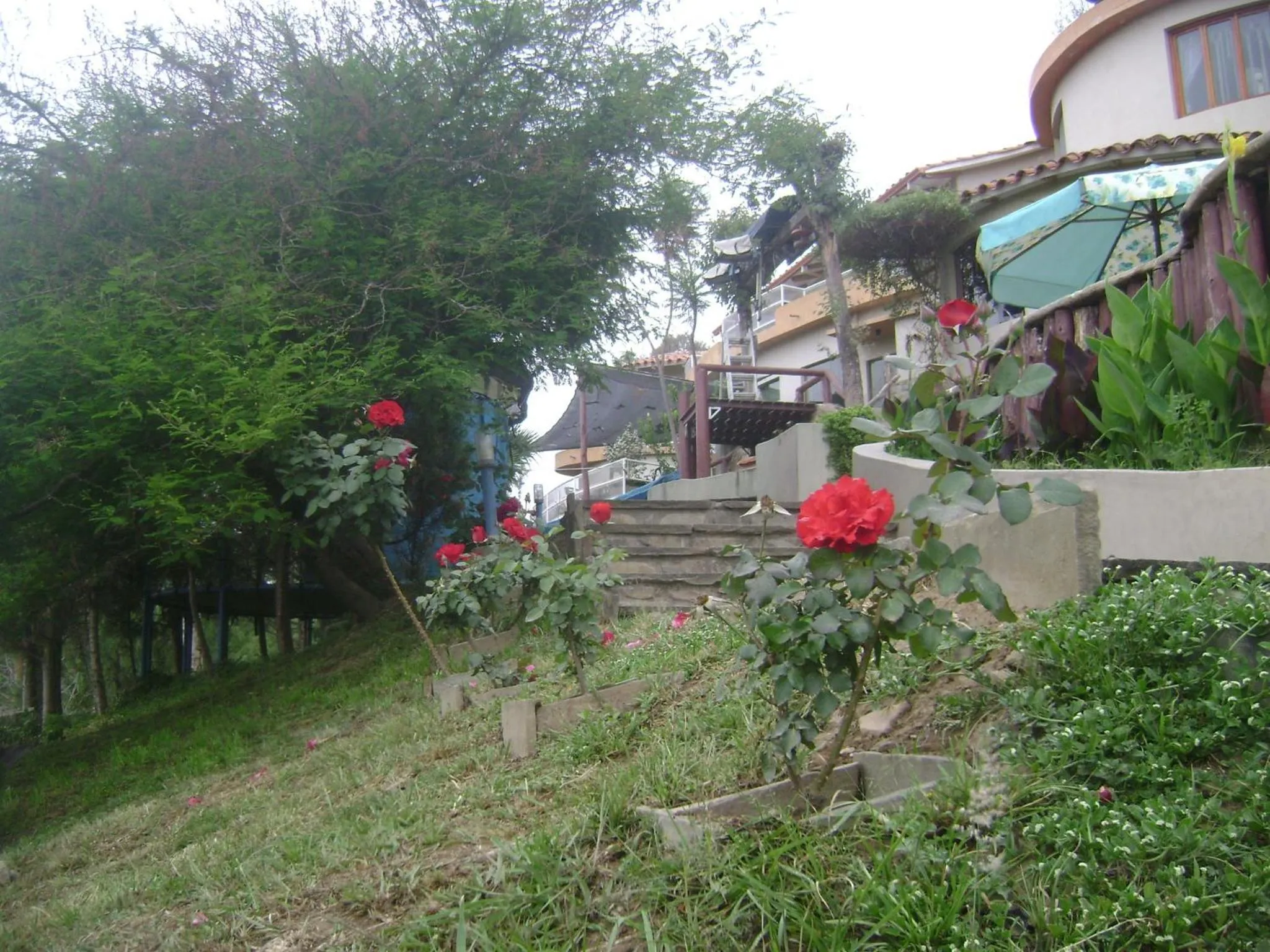 Garden in La Pasarela
