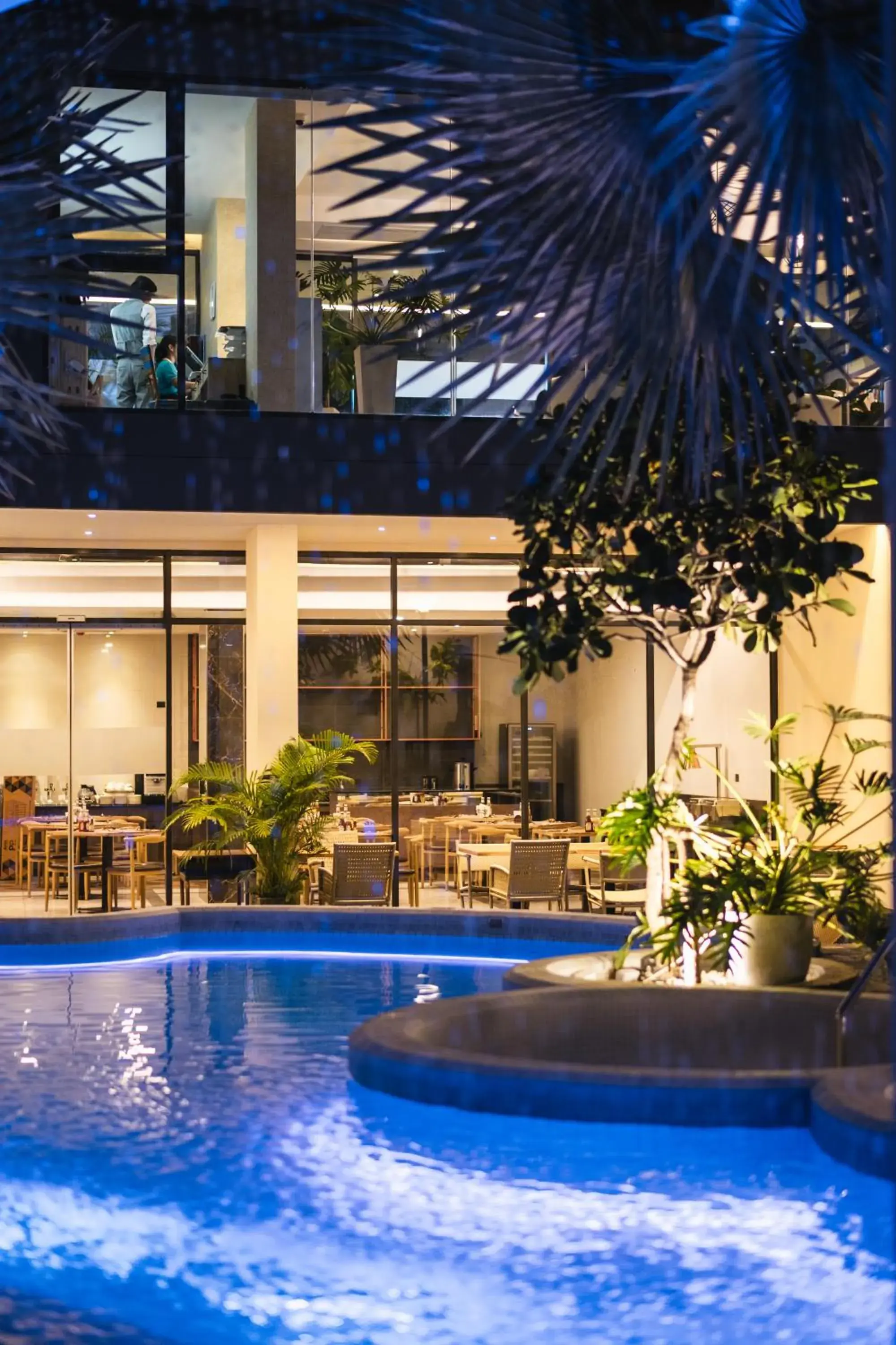 Pool view in Stay Collection Nimman Chiangmai Pool view in Stay Collection Nimman Chiangmai