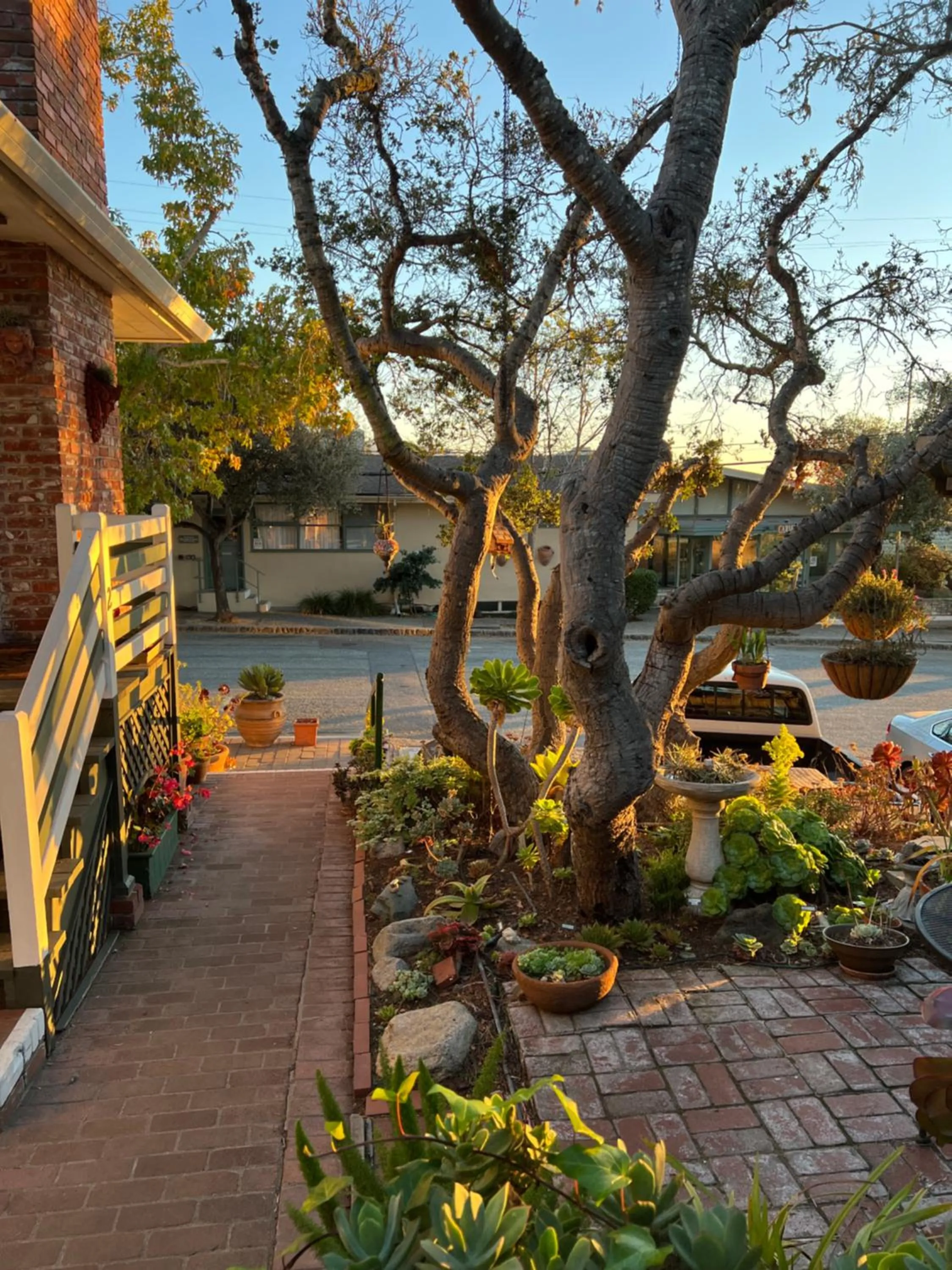 Garden in Carmel Garden Inn