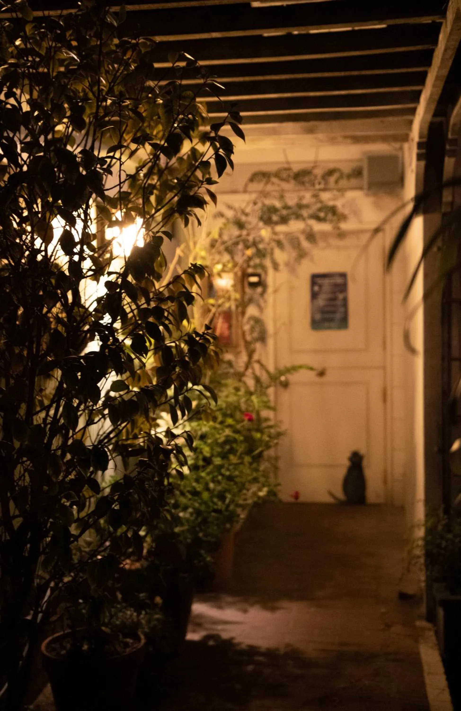 Night in Carmel Garden Inn