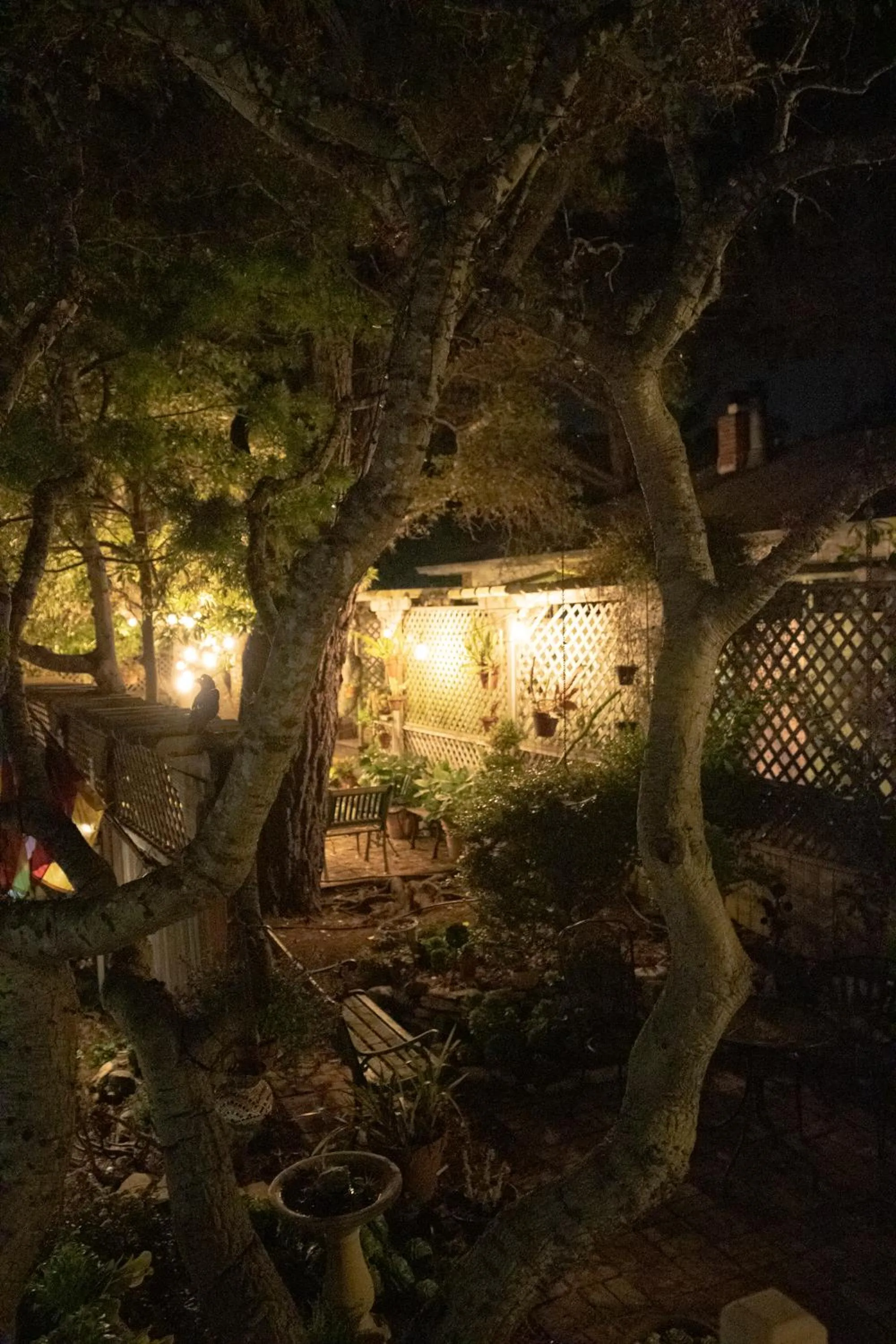Night in Carmel Garden Inn