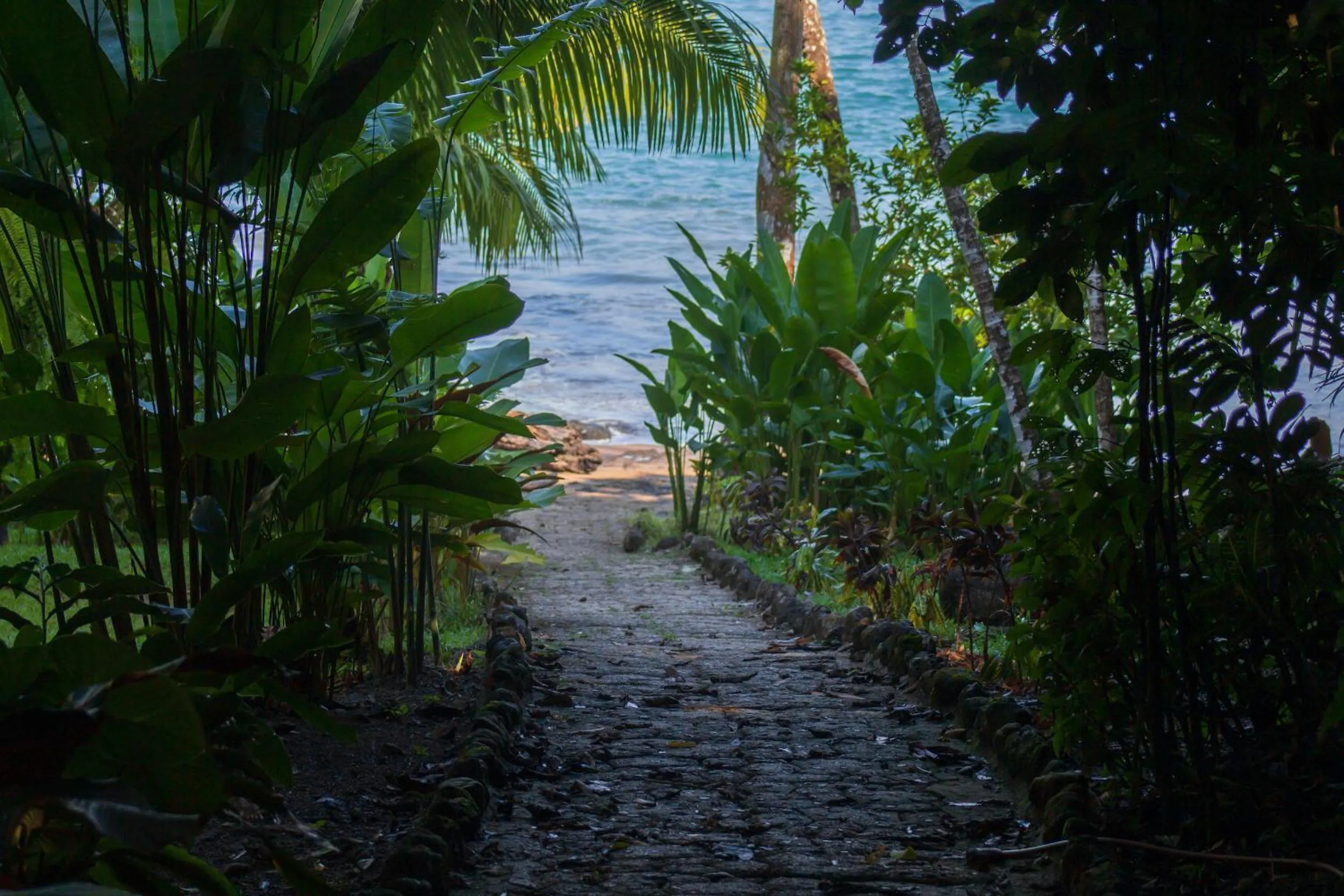 Beach in Las Caletas Lodge