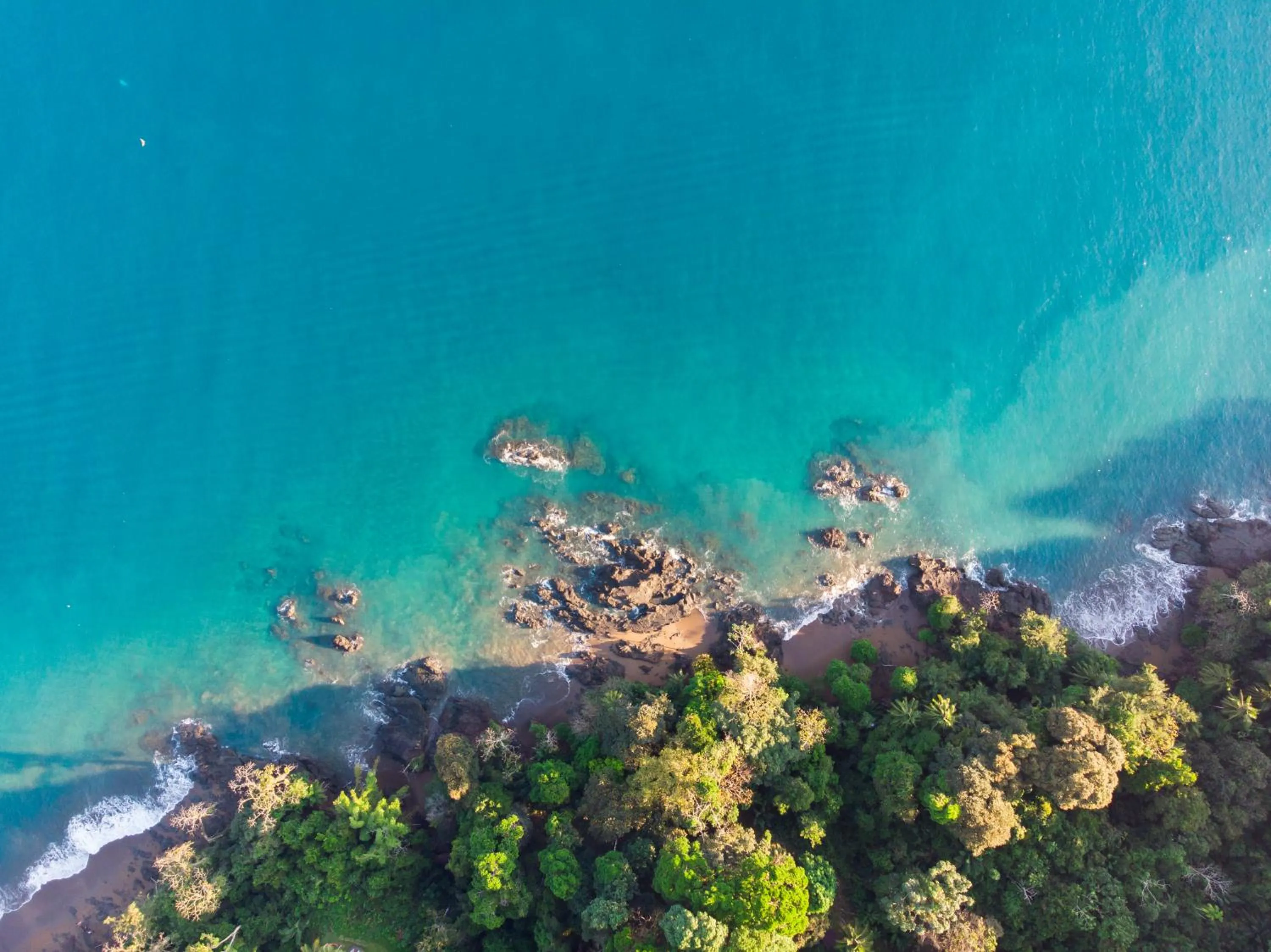 Bird's eye view in Las Caletas Lodge