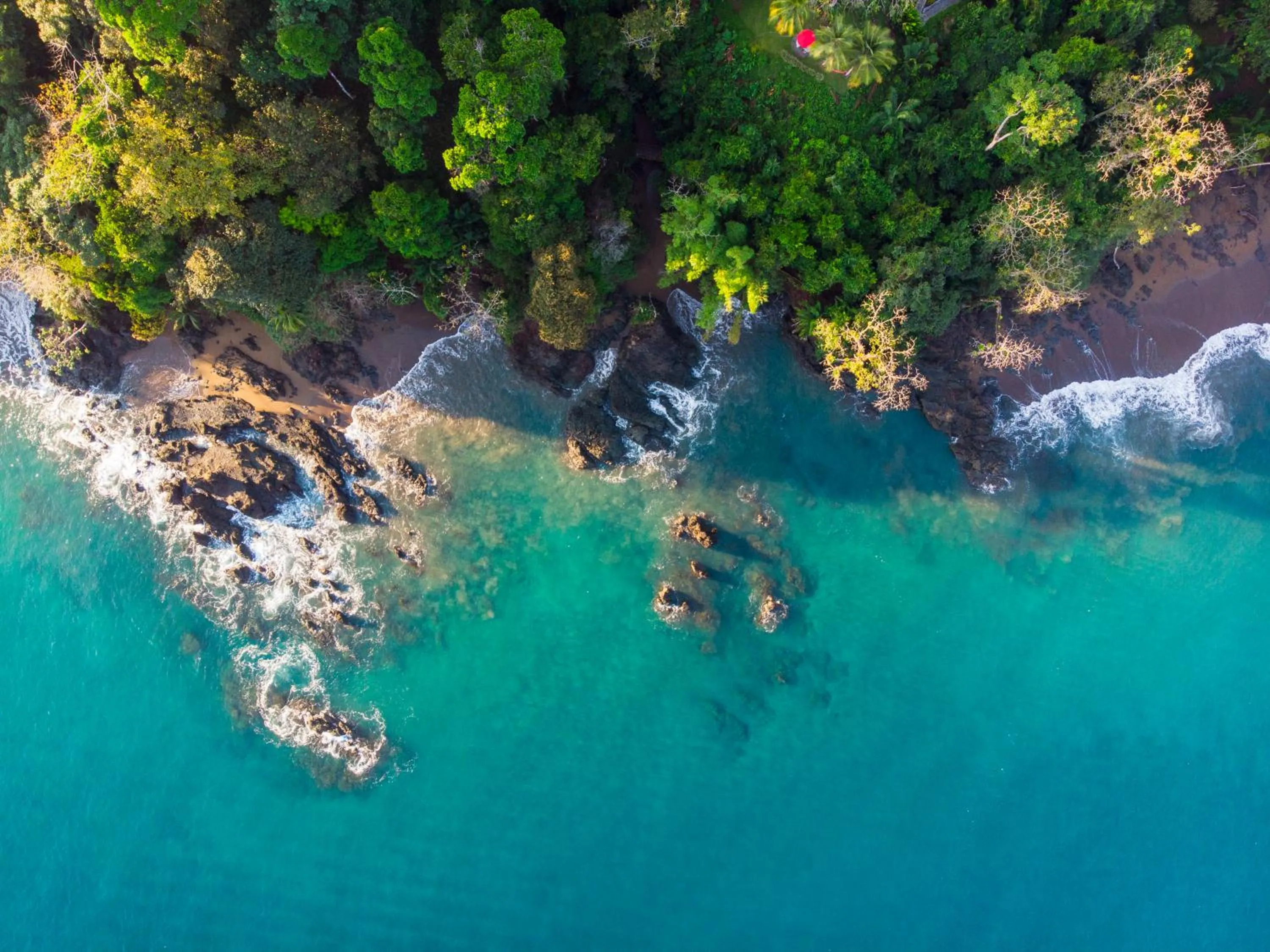 Bird's eye view in Las Caletas Lodge