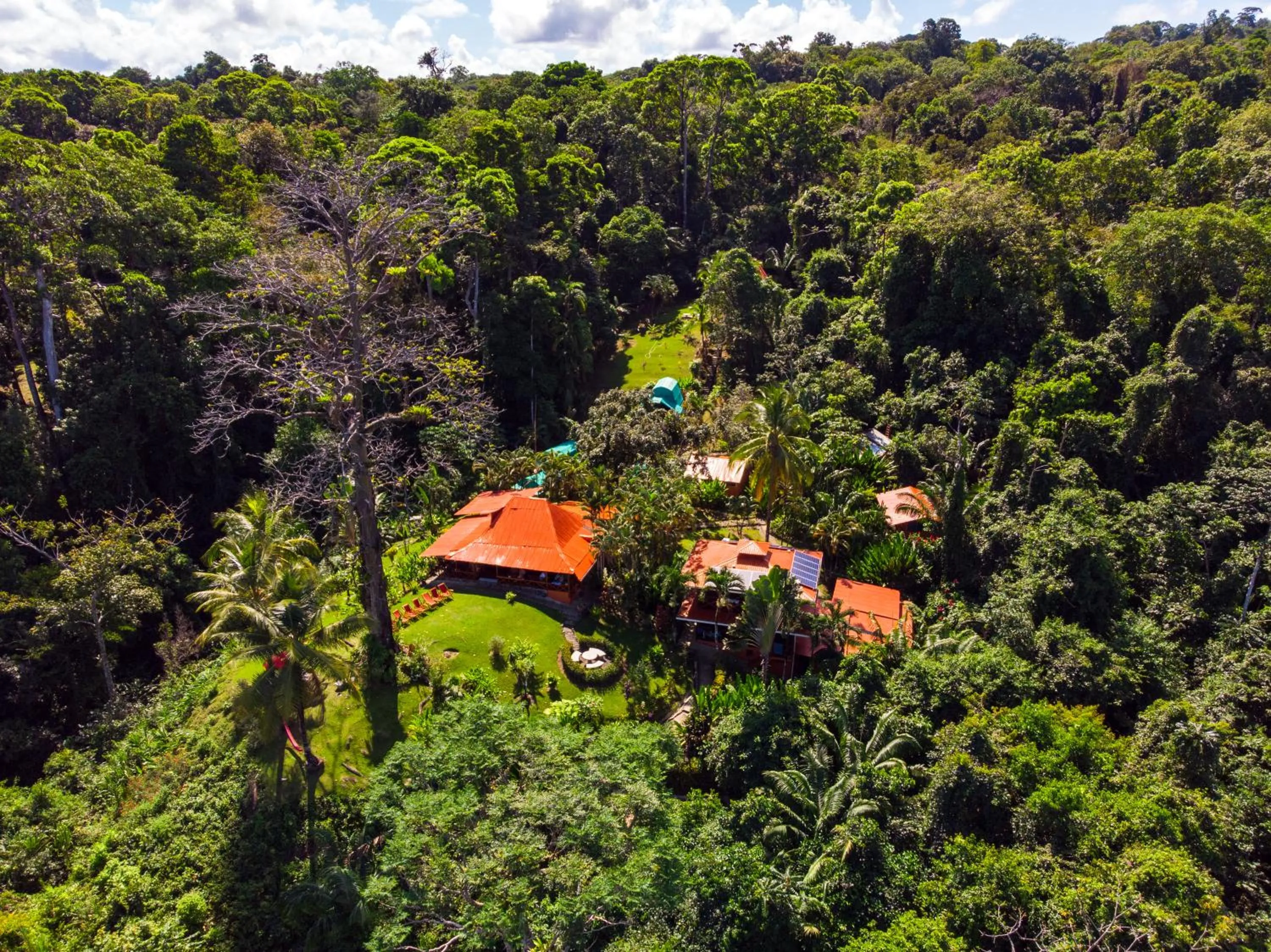 Bird's eye view in Las Caletas Lodge