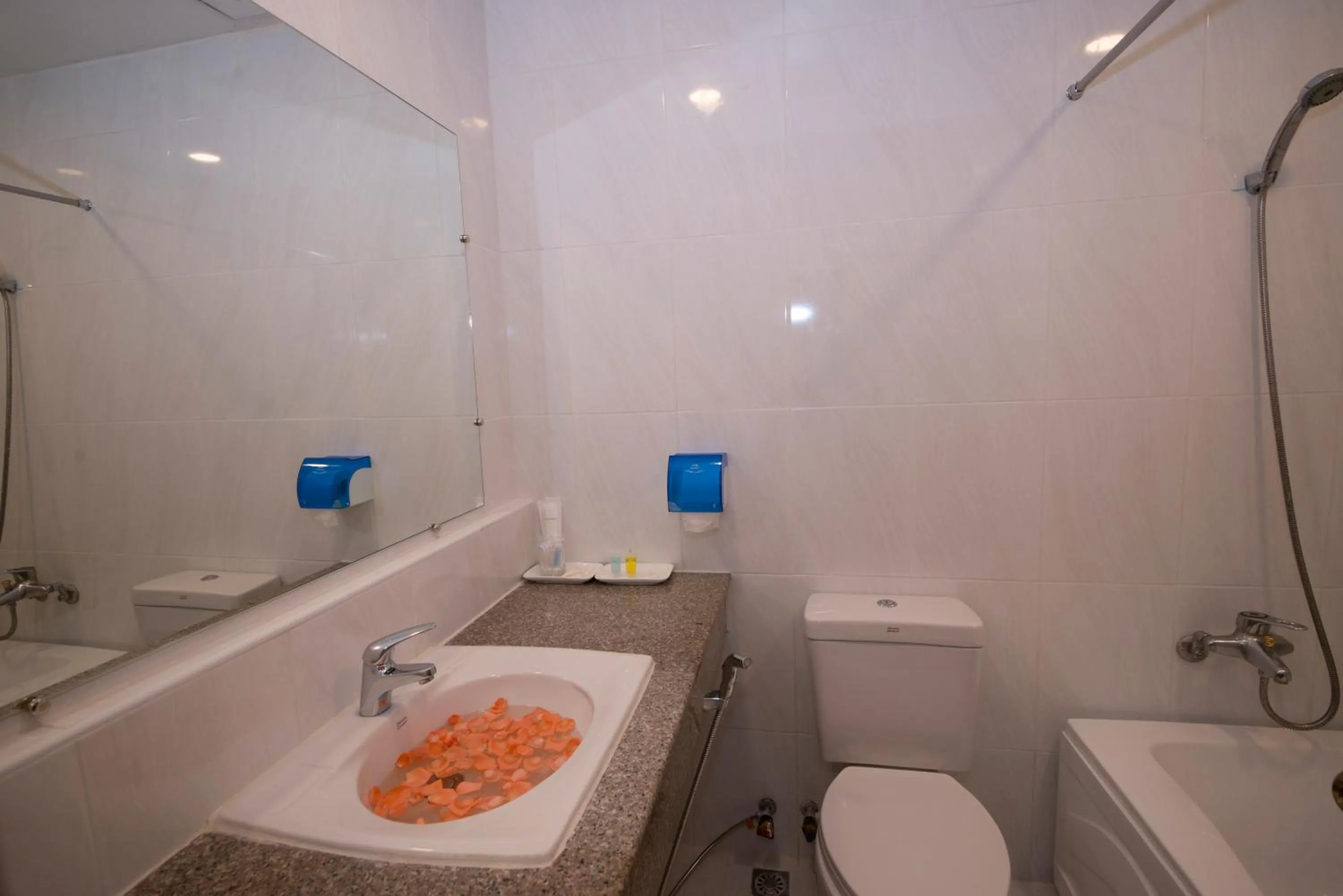 Shower in Panorama Hotel