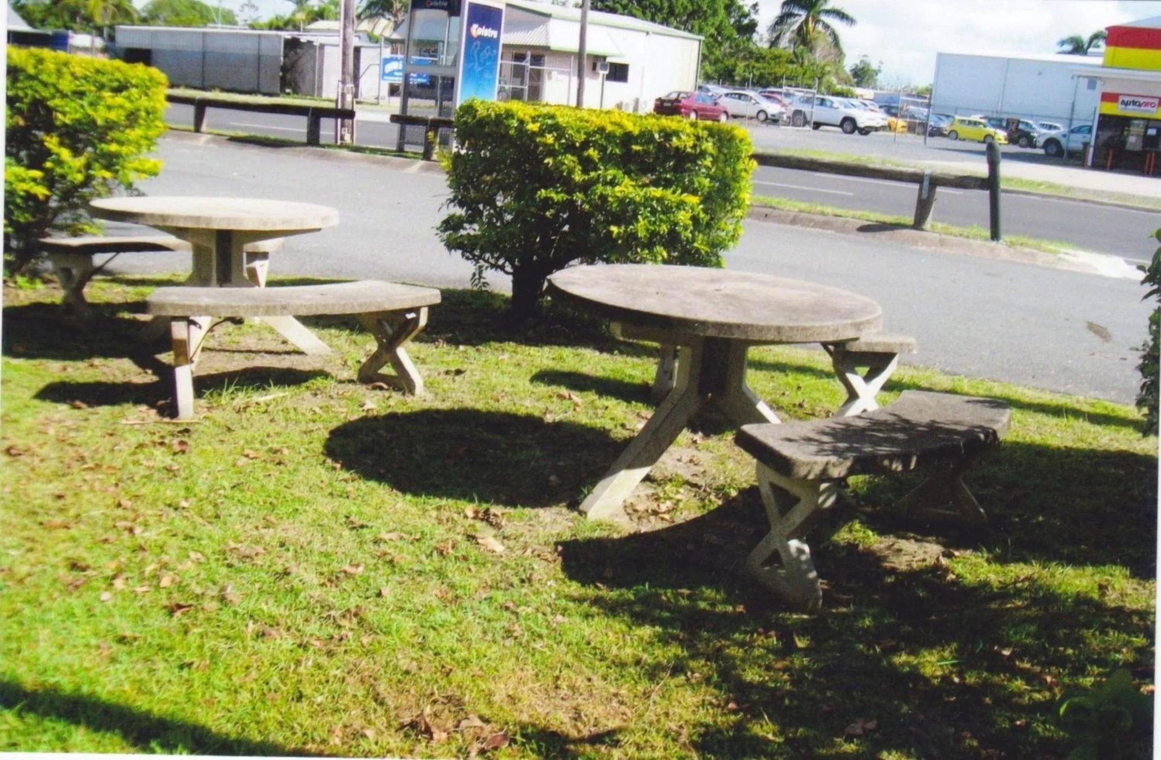 Garden in Central Tourist Park