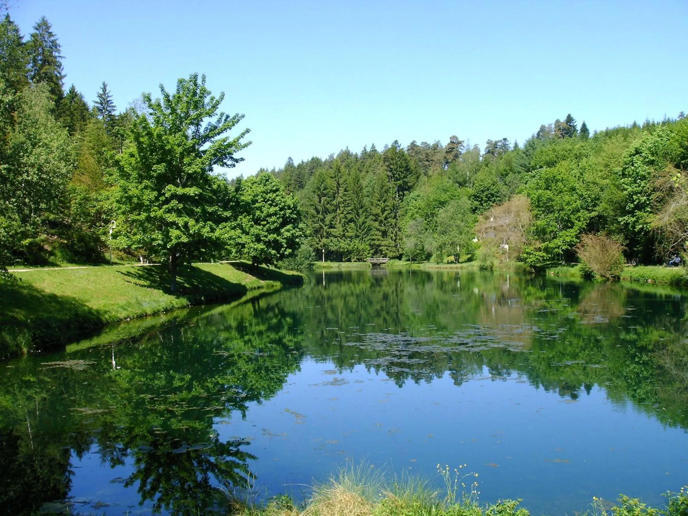 Natural landscape in Hotel Panorama