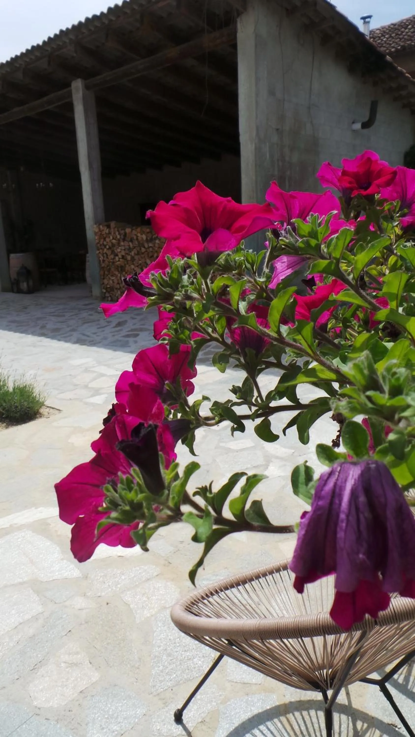 Property building in Sotto La Vigna Charm Stay Adult only vacation Balcony suite