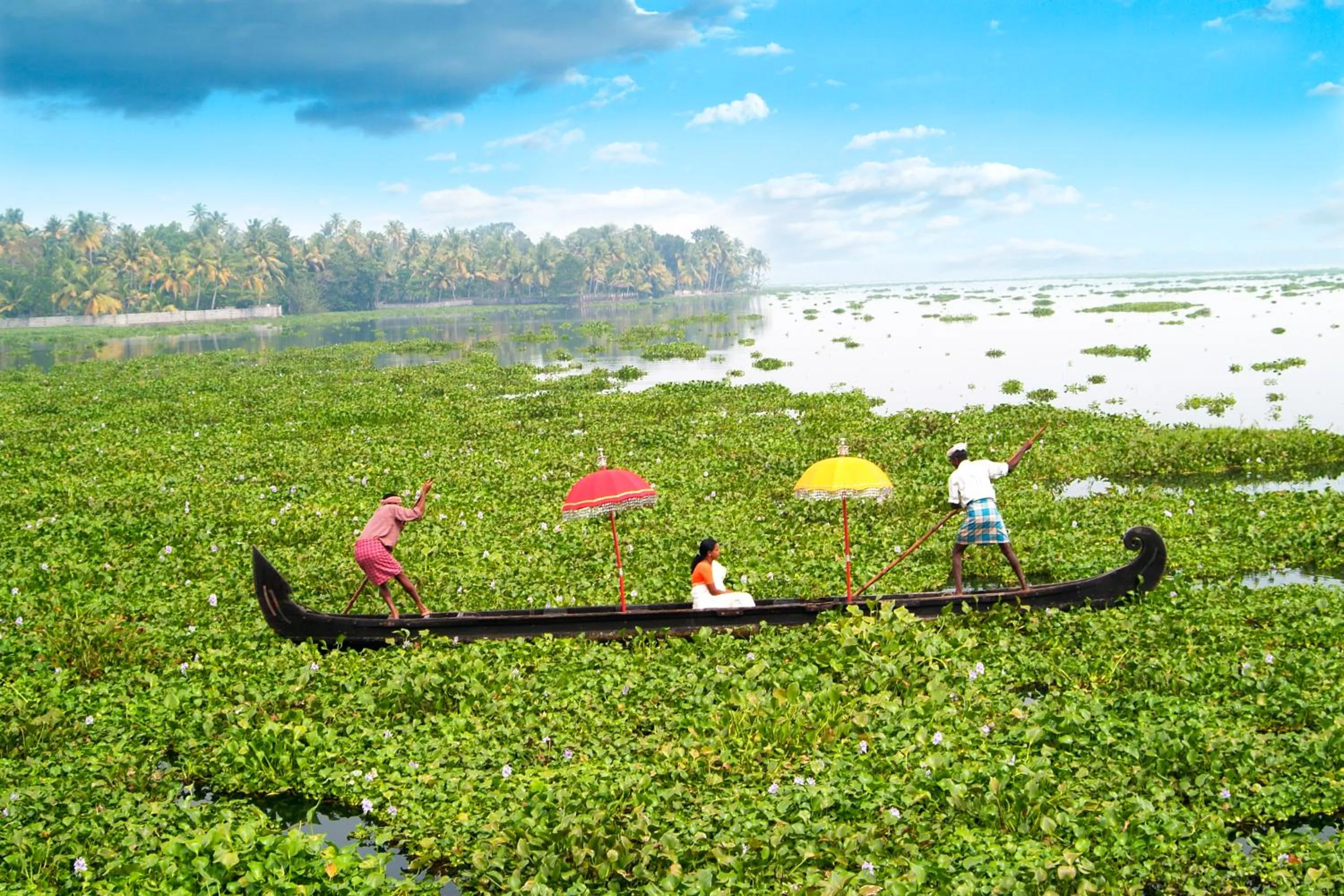 Area and facilities in Purity at Lake Vembanad