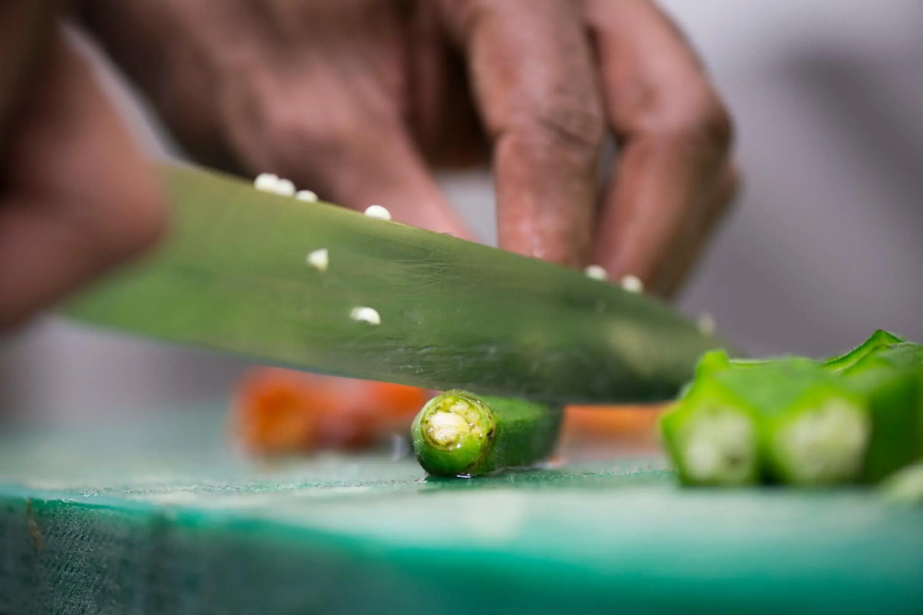 Breakfast in Purity at Lake Vembanad Breakfast in Purity at Lake Vembanad