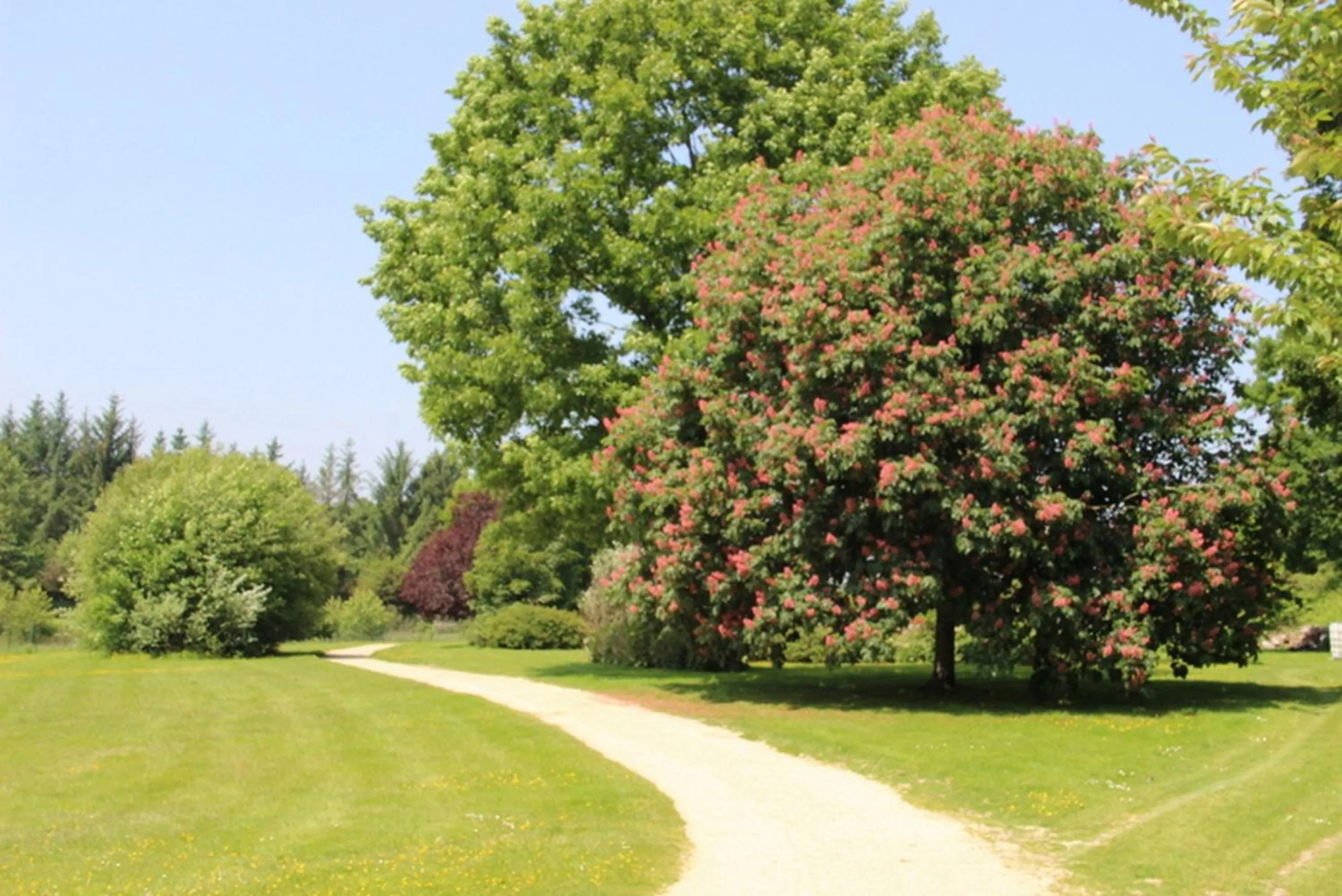 Garden in Au Relais de l'Oust