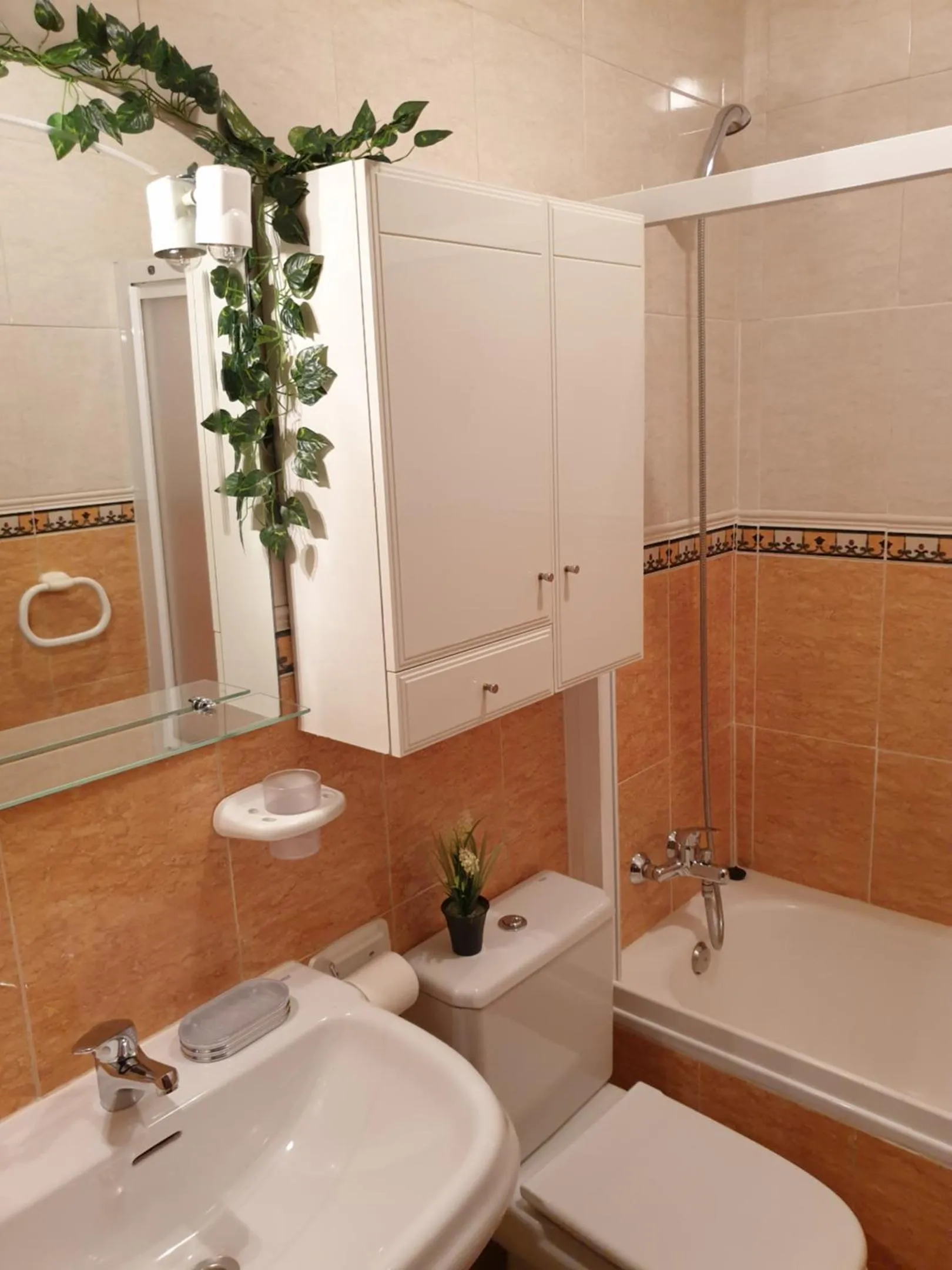 Apartamentos Dana Sol