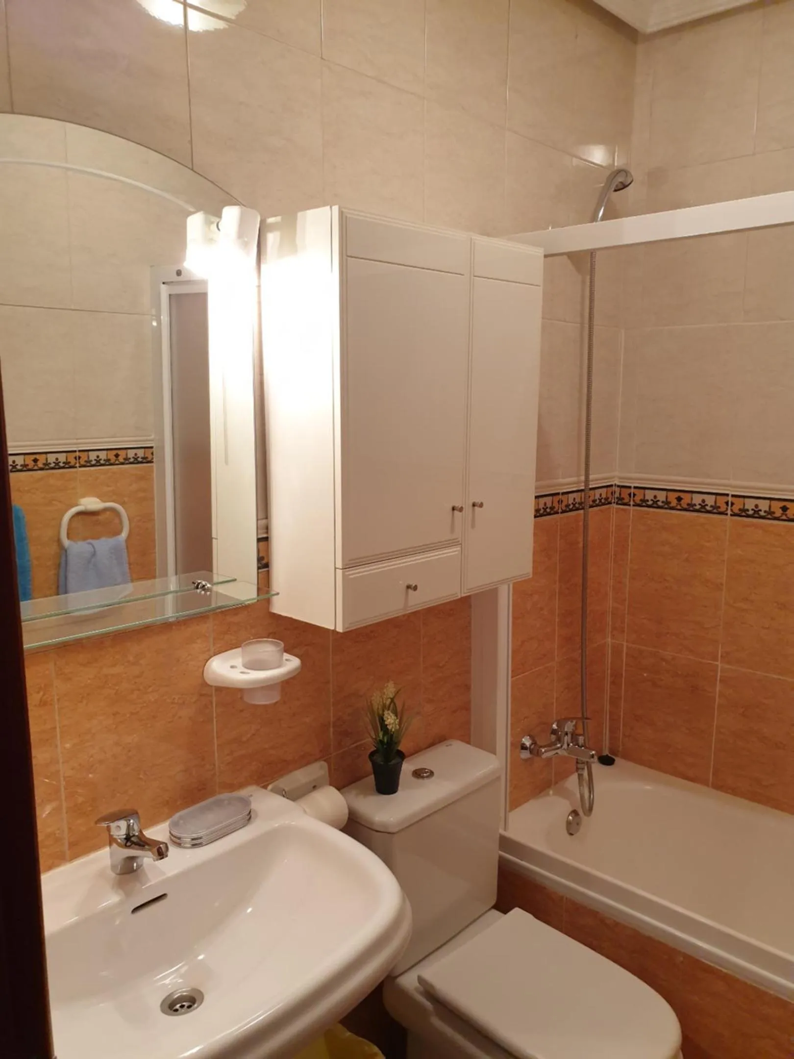Apartamentos Dana Sol