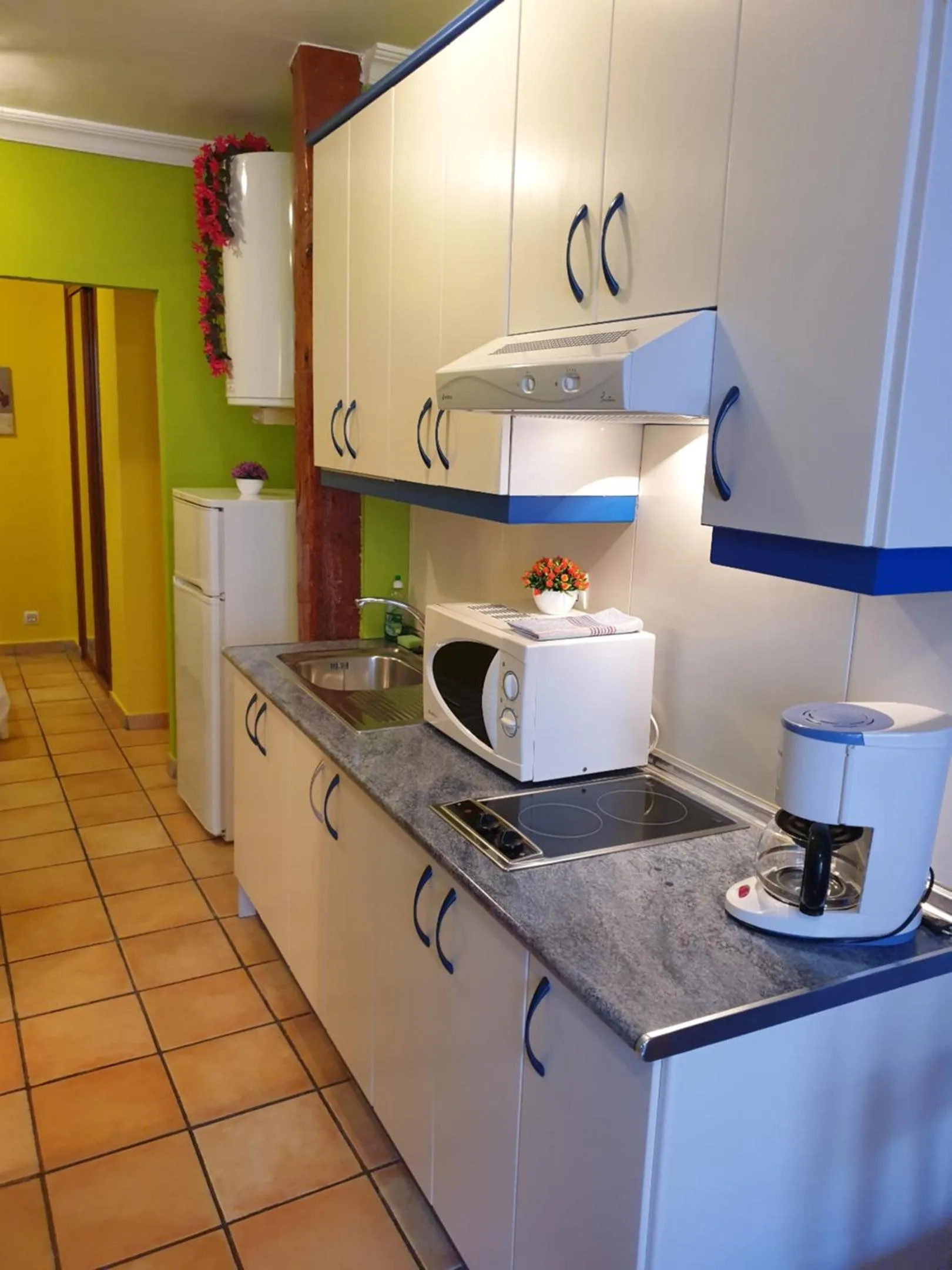 Apartamentos Dana Sol