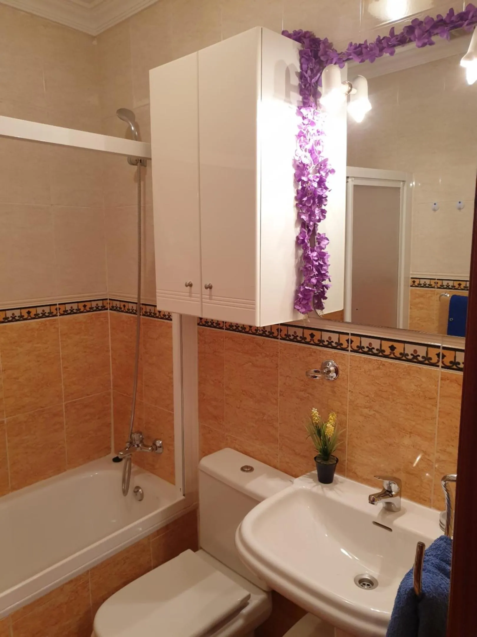 Apartamentos Dana Sol