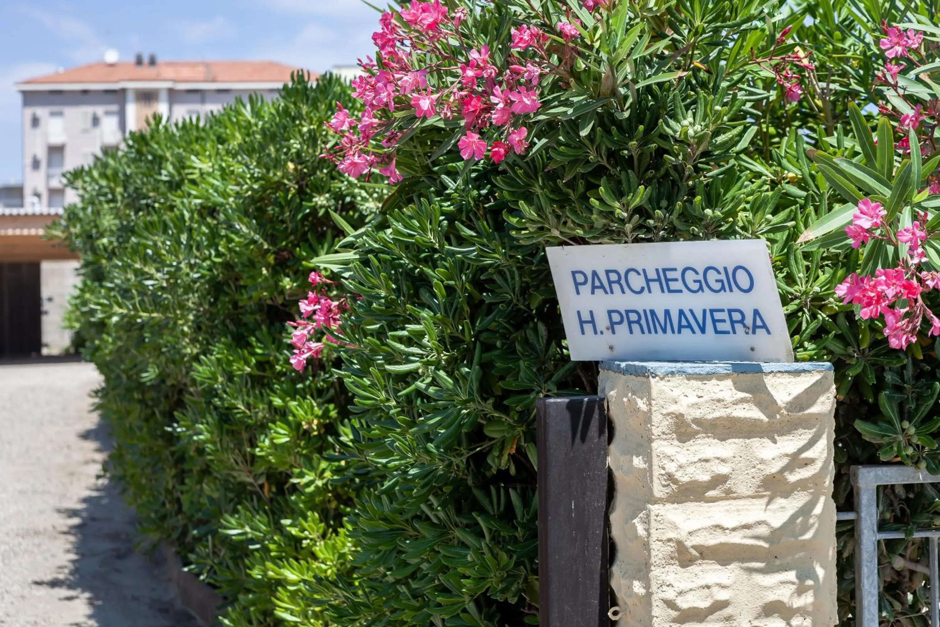 Hotel Primavera sul mare