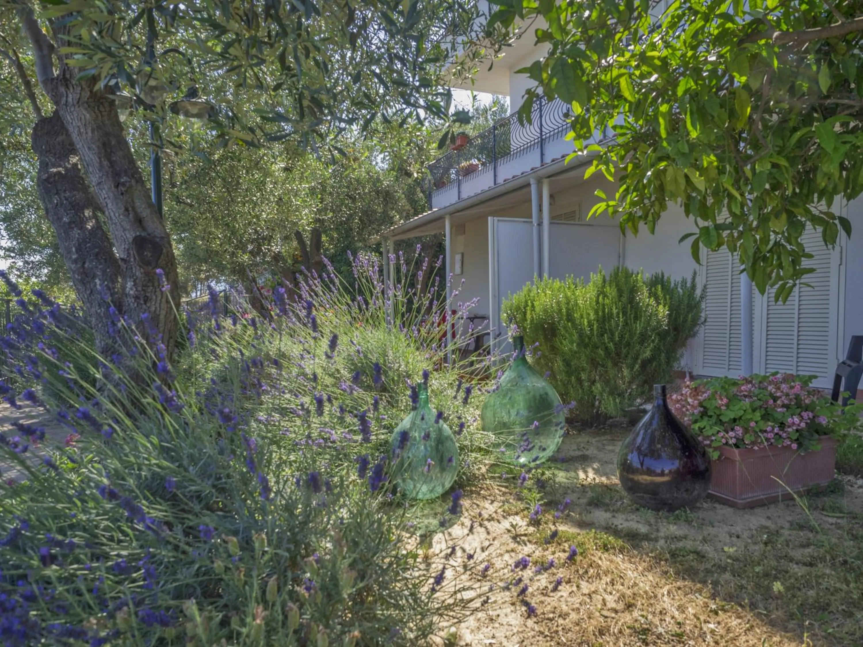 Garden in Tra Gli Ulivi
