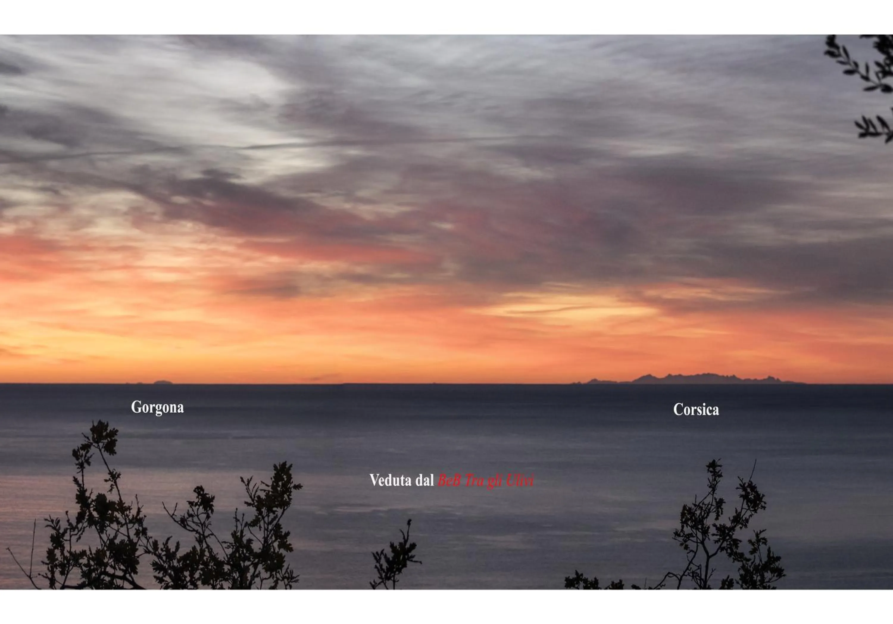 View (from property/room) in Tra Gli Ulivi