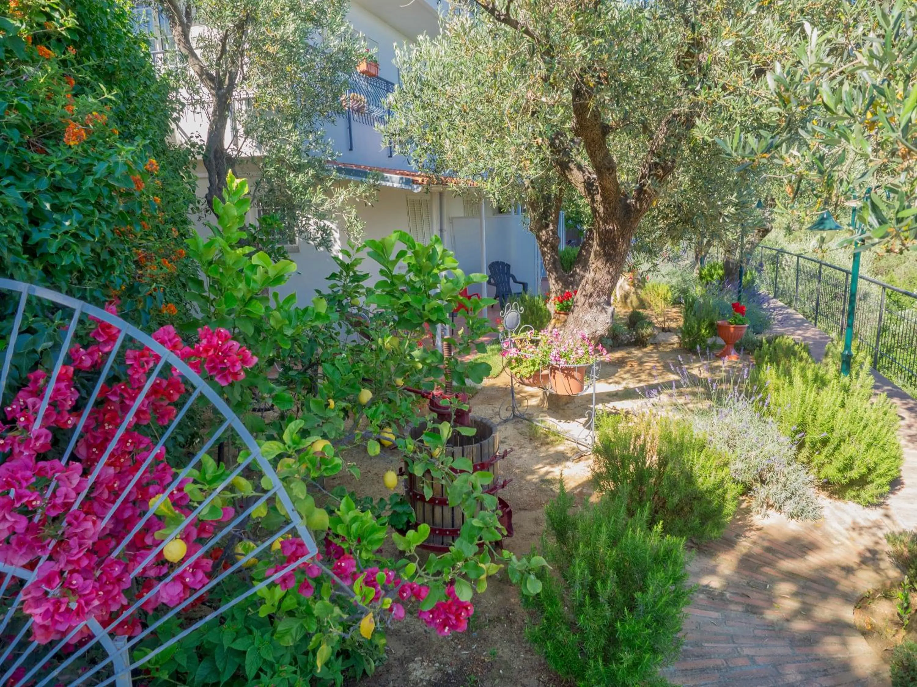 Garden in Tra Gli Ulivi