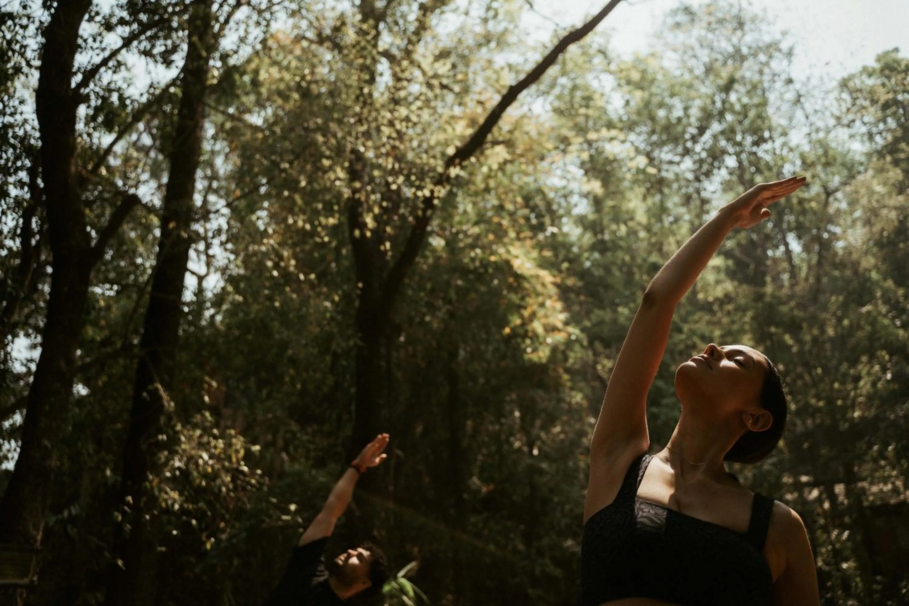 Dwarika's Sanctuary - A Himalayan Wellness Retreat