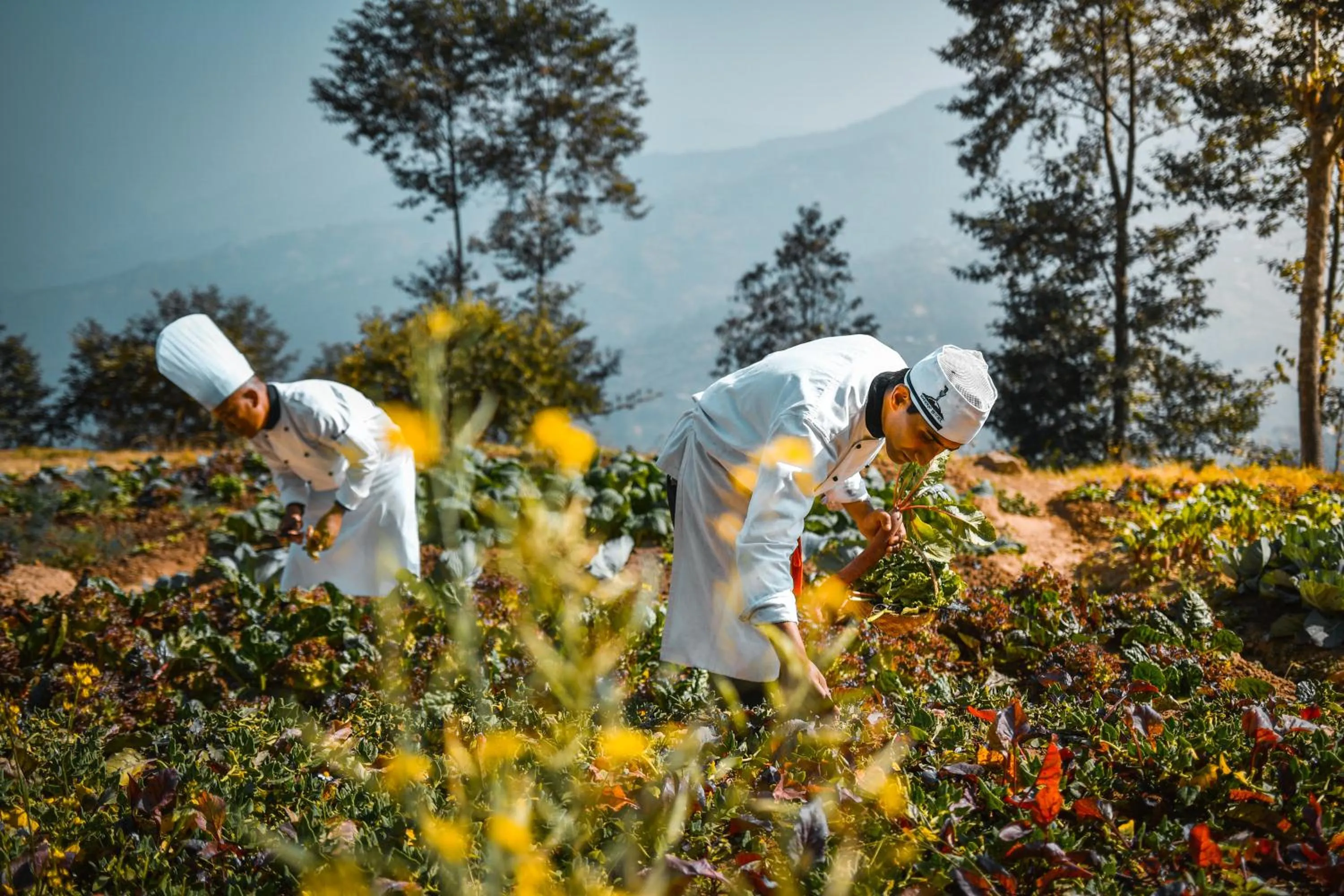 Dwarika's Sanctuary - A Himalayan Wellness Retreat