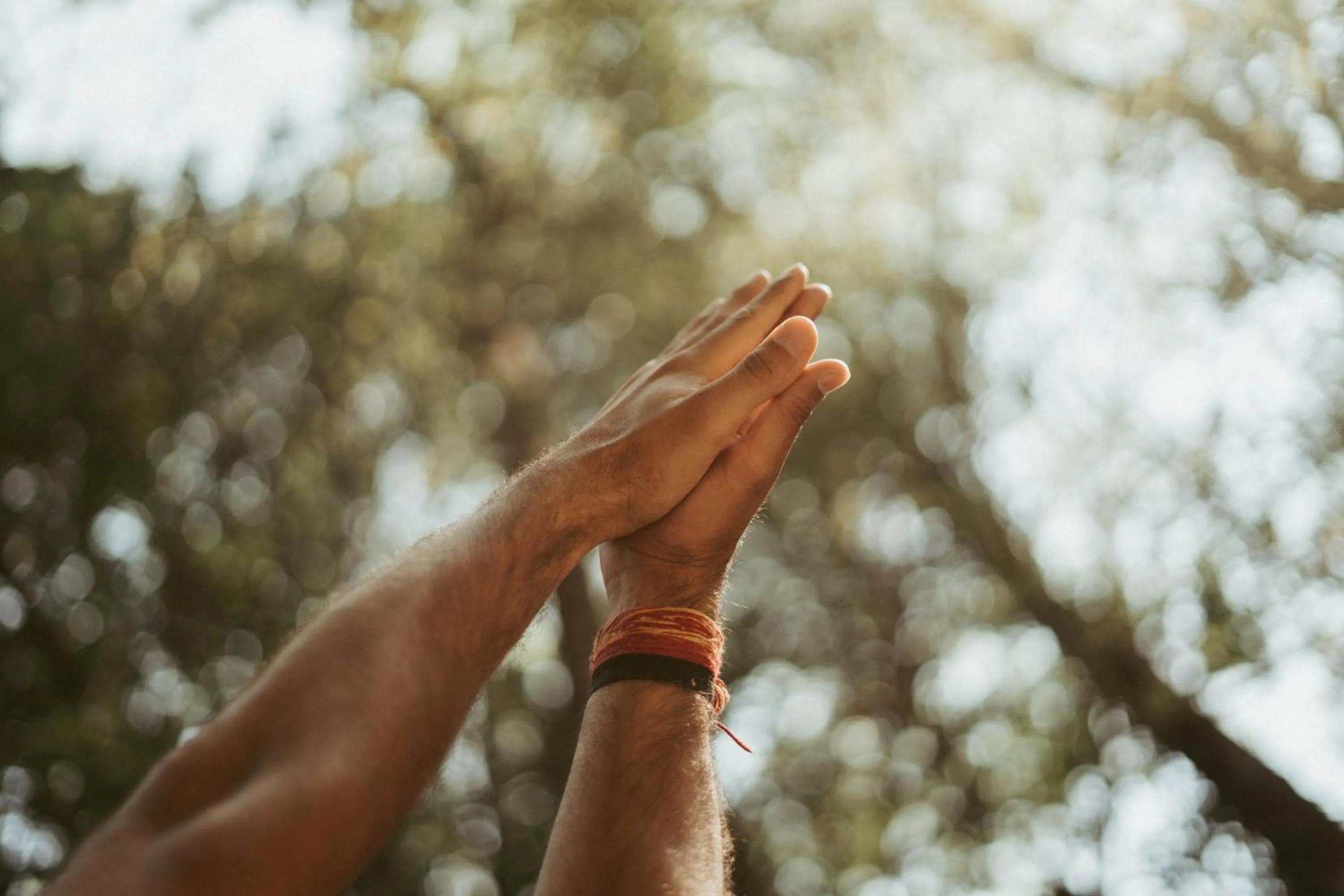 Dwarika's Sanctuary - A Himalayan Wellness Retreat