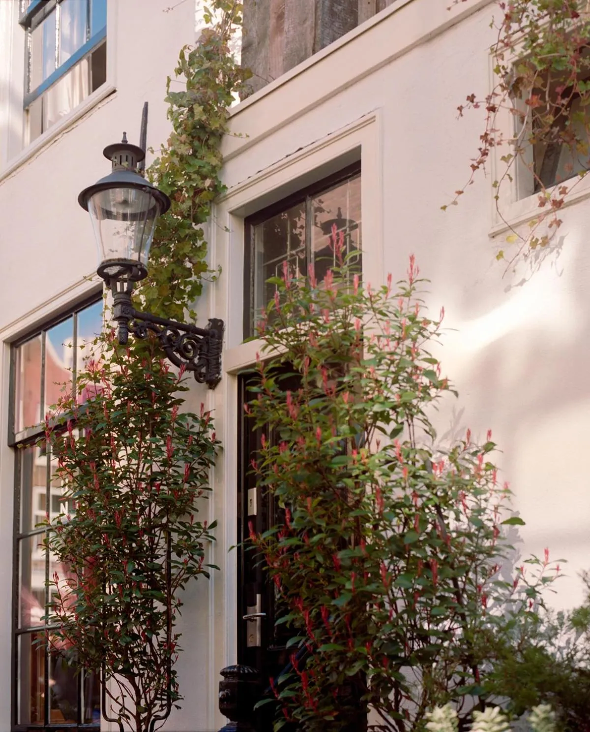 Property Building in Hotel Teun