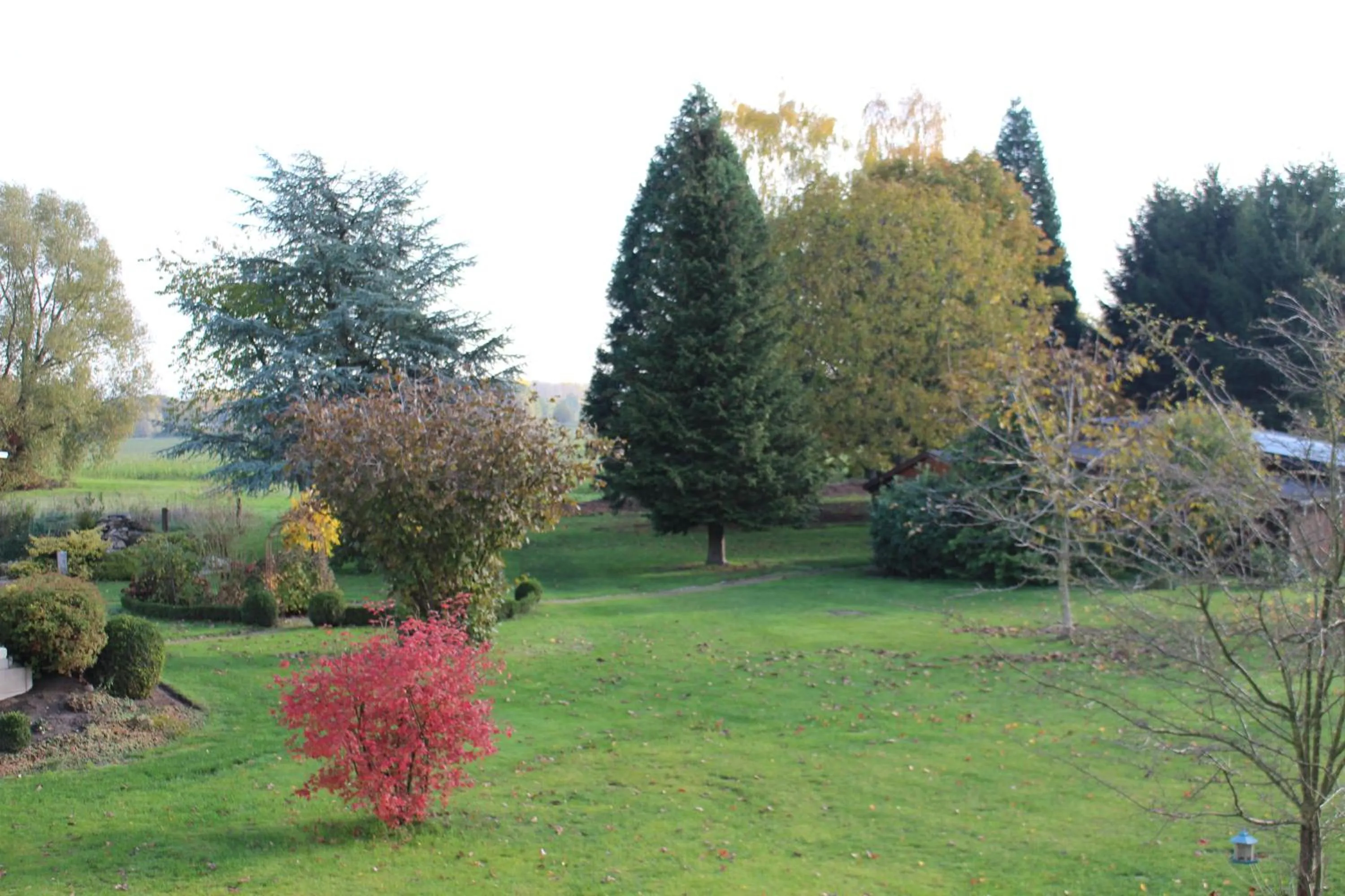 Garden view in Landhaus Jägerkrug