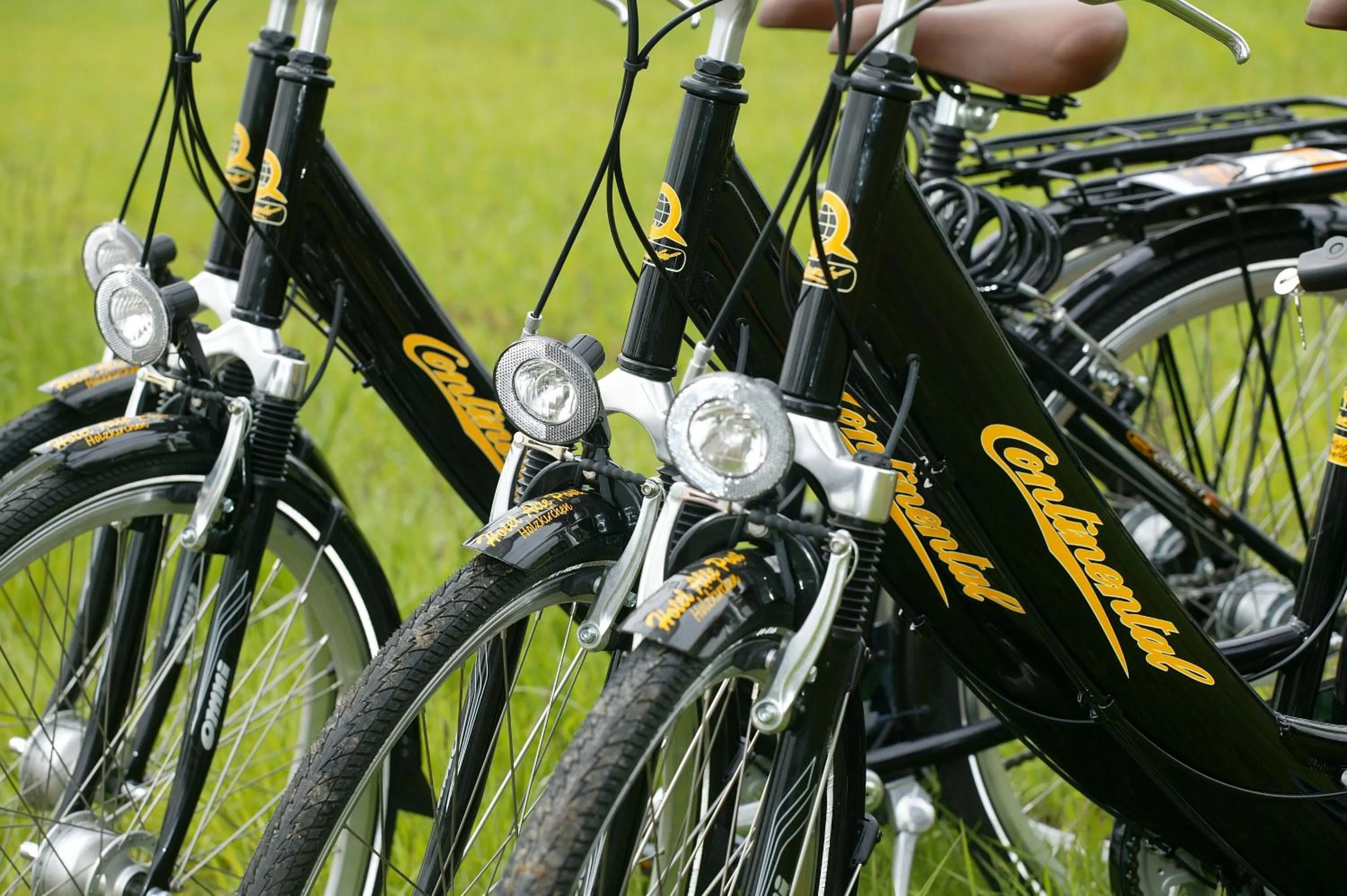 Cycling in Hotel Gasthof Alte Post Holzkirchen