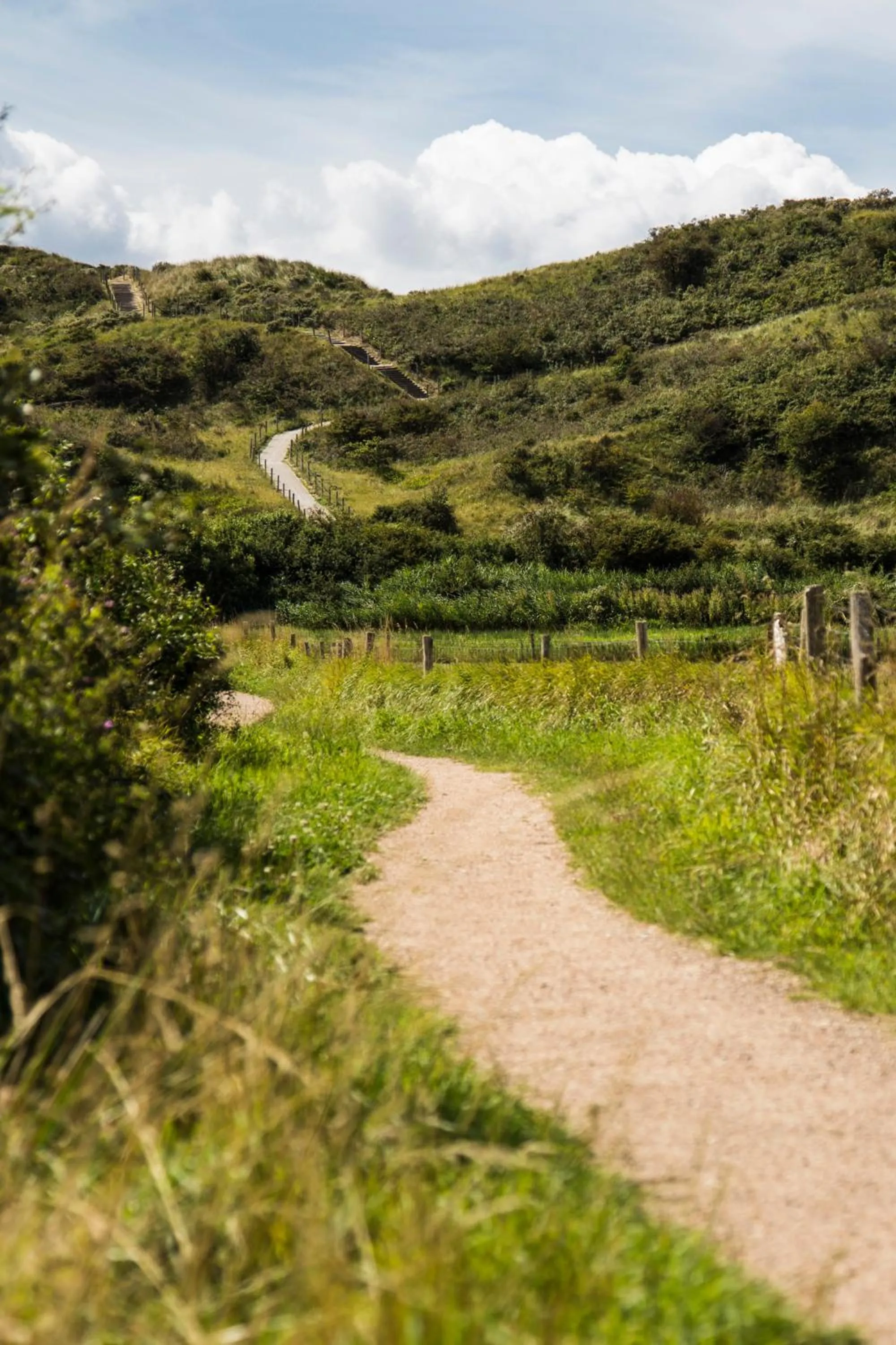 Natural landscape in Strandhotel Westduin
