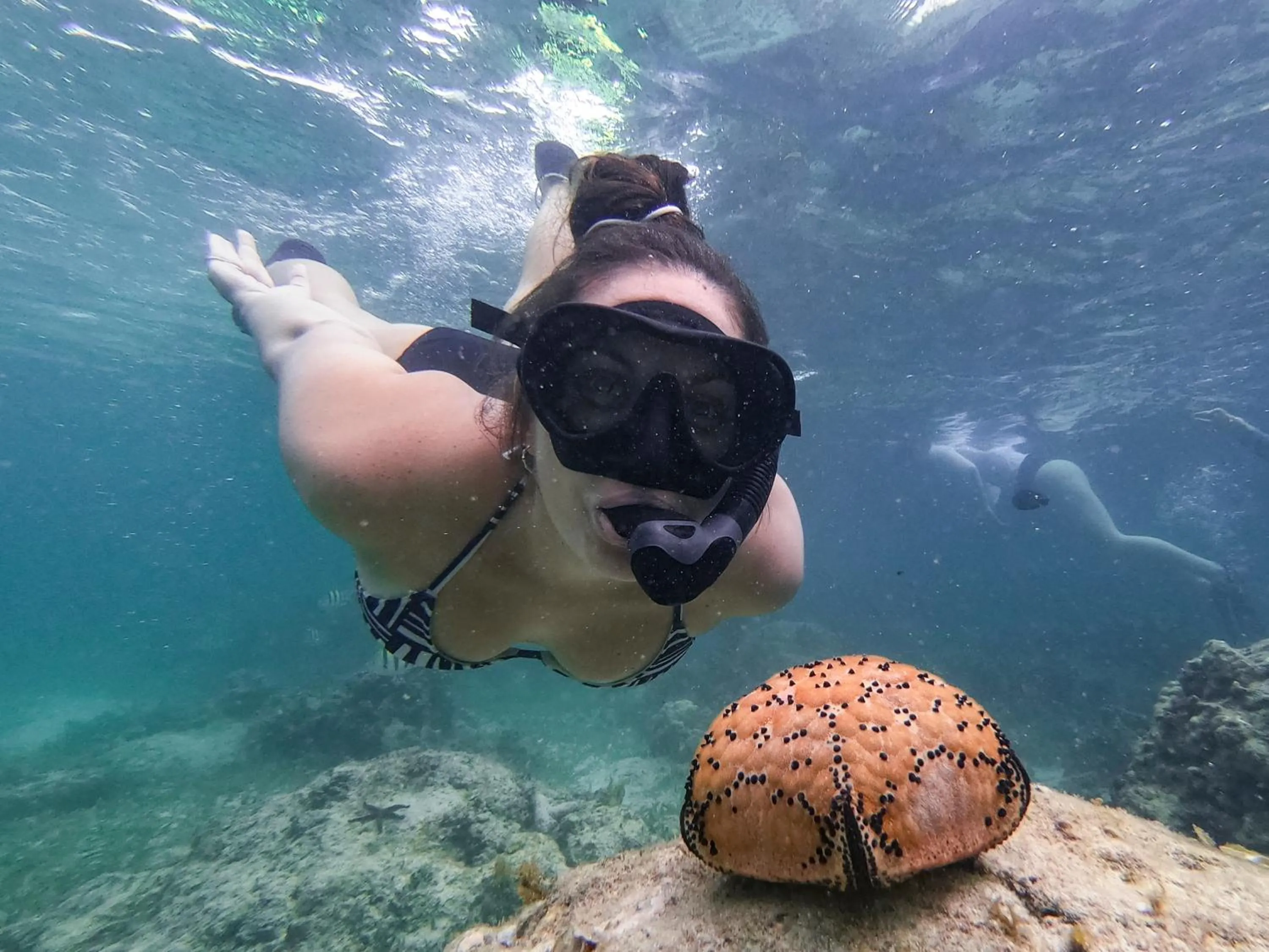 Diving in Nomad Beach Resort