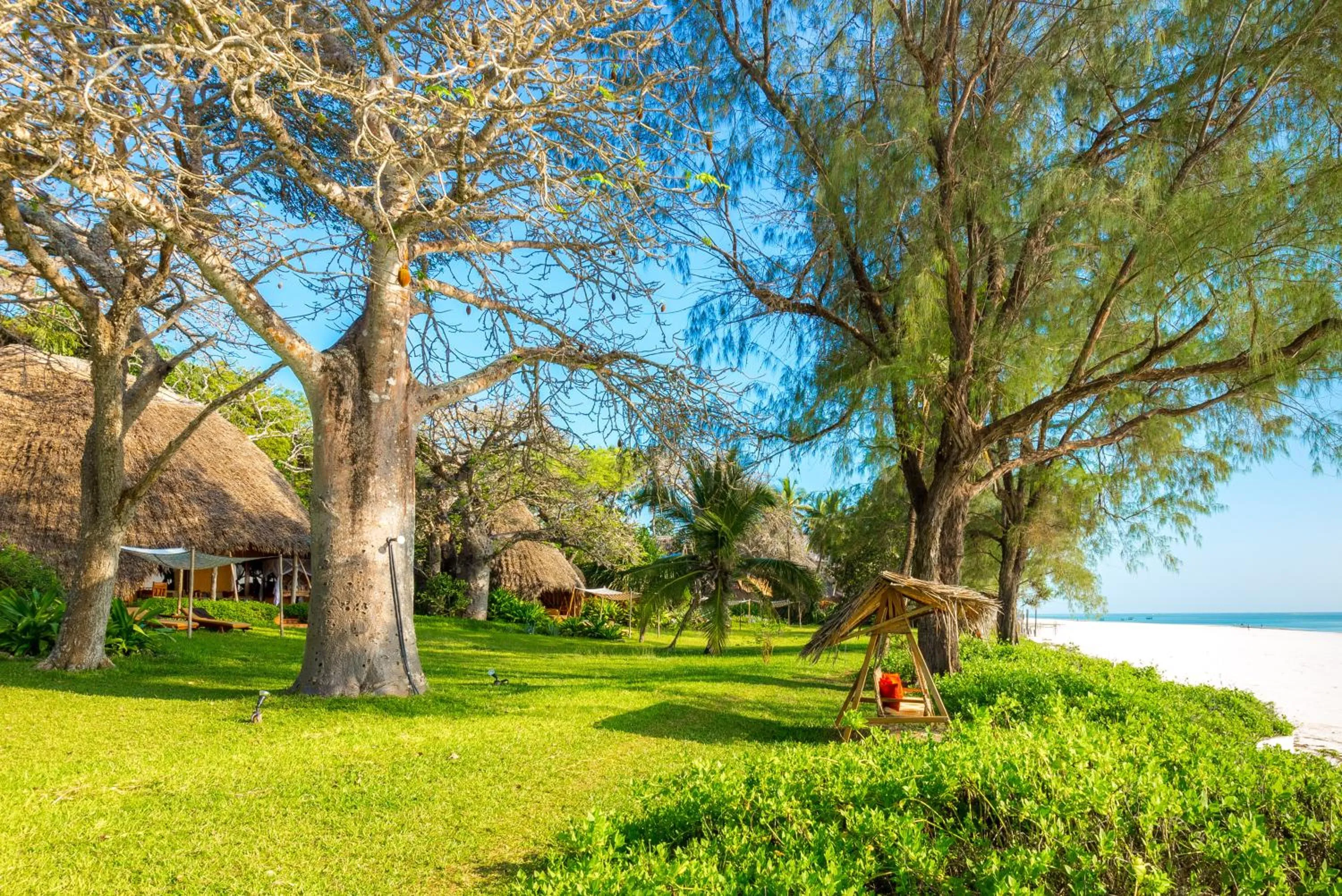 Garden in Nomad Beach Resort