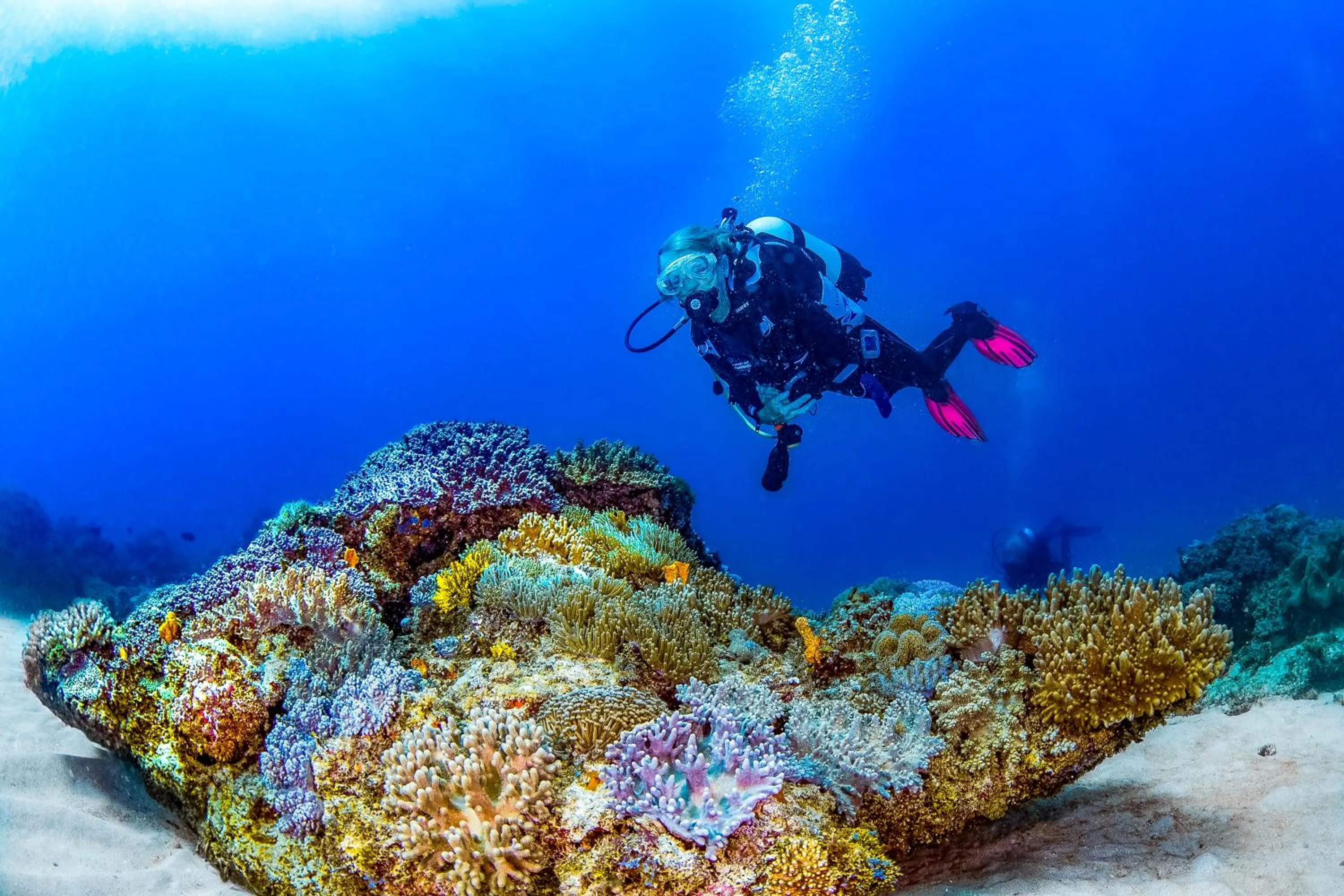 Diving in Nomad Beach Resort