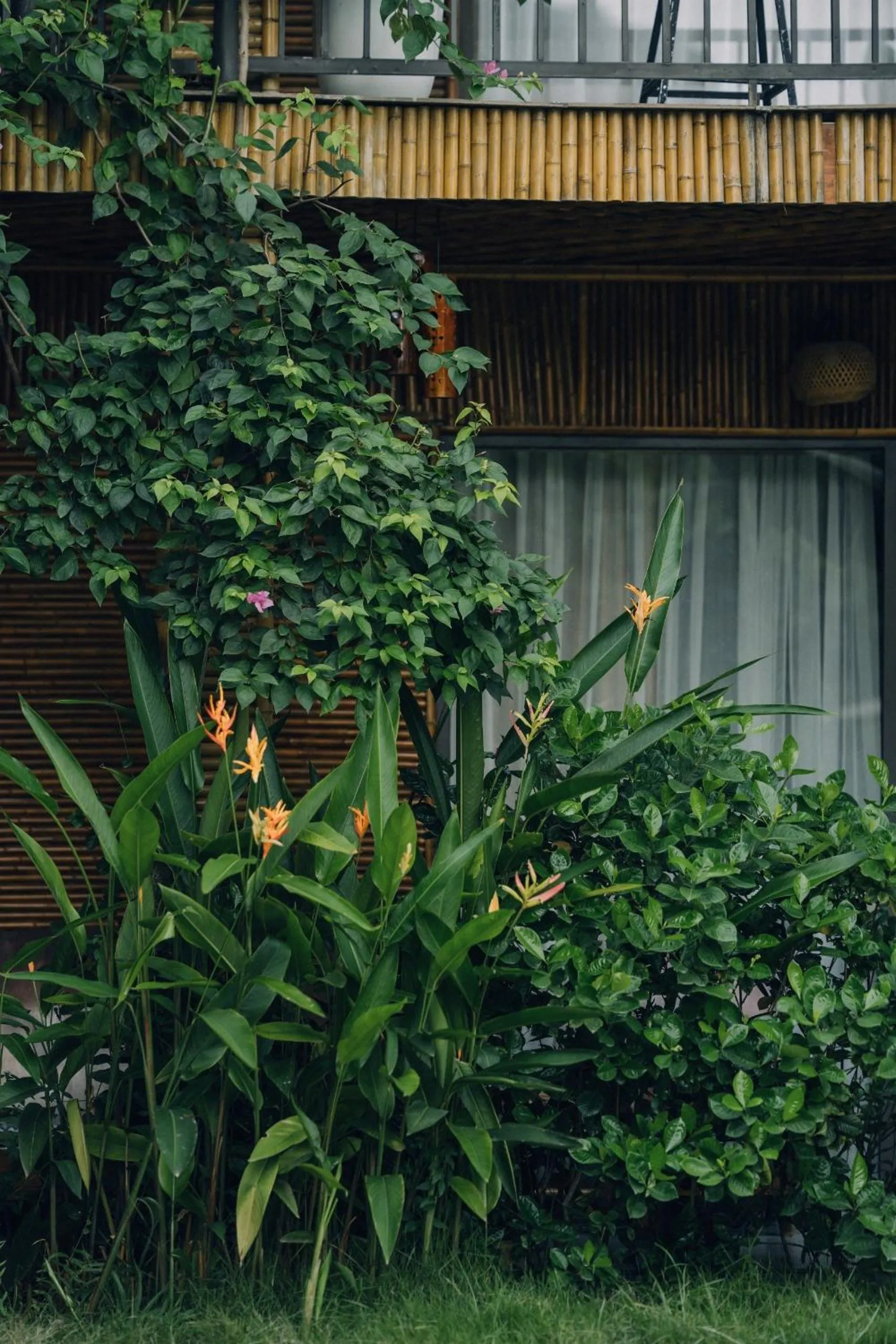 Property building in Tam Coc Windy Fields