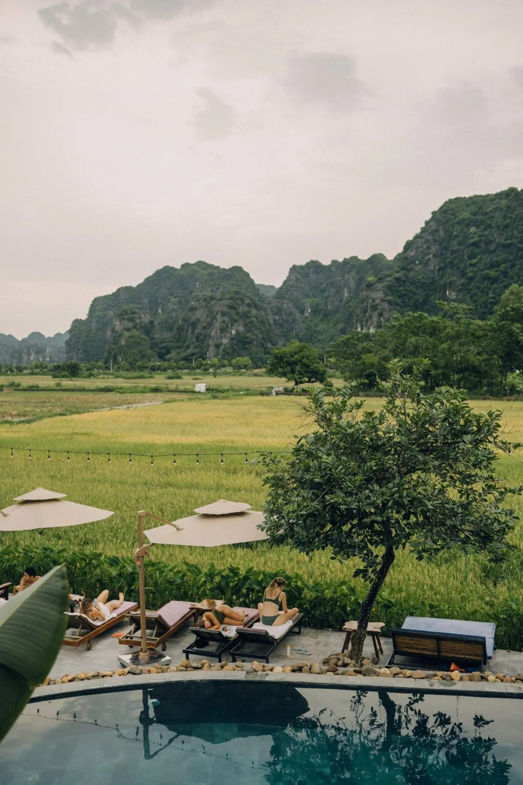 Nearby landmark in Tam Coc Windy Fields