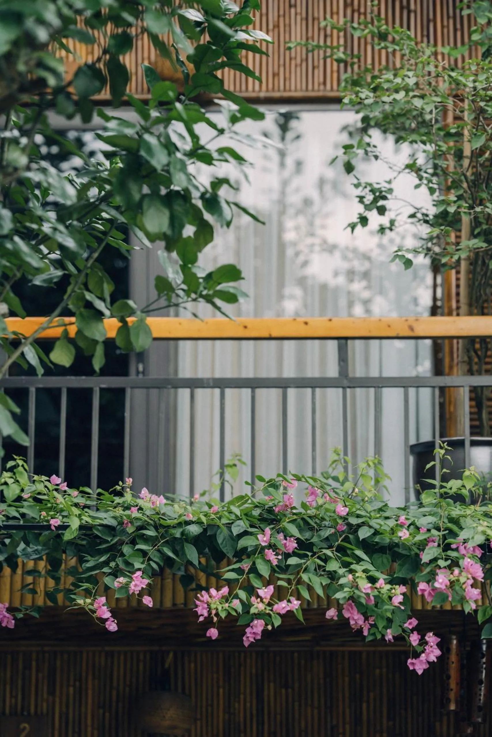 Property building in Tam Coc Windy Fields