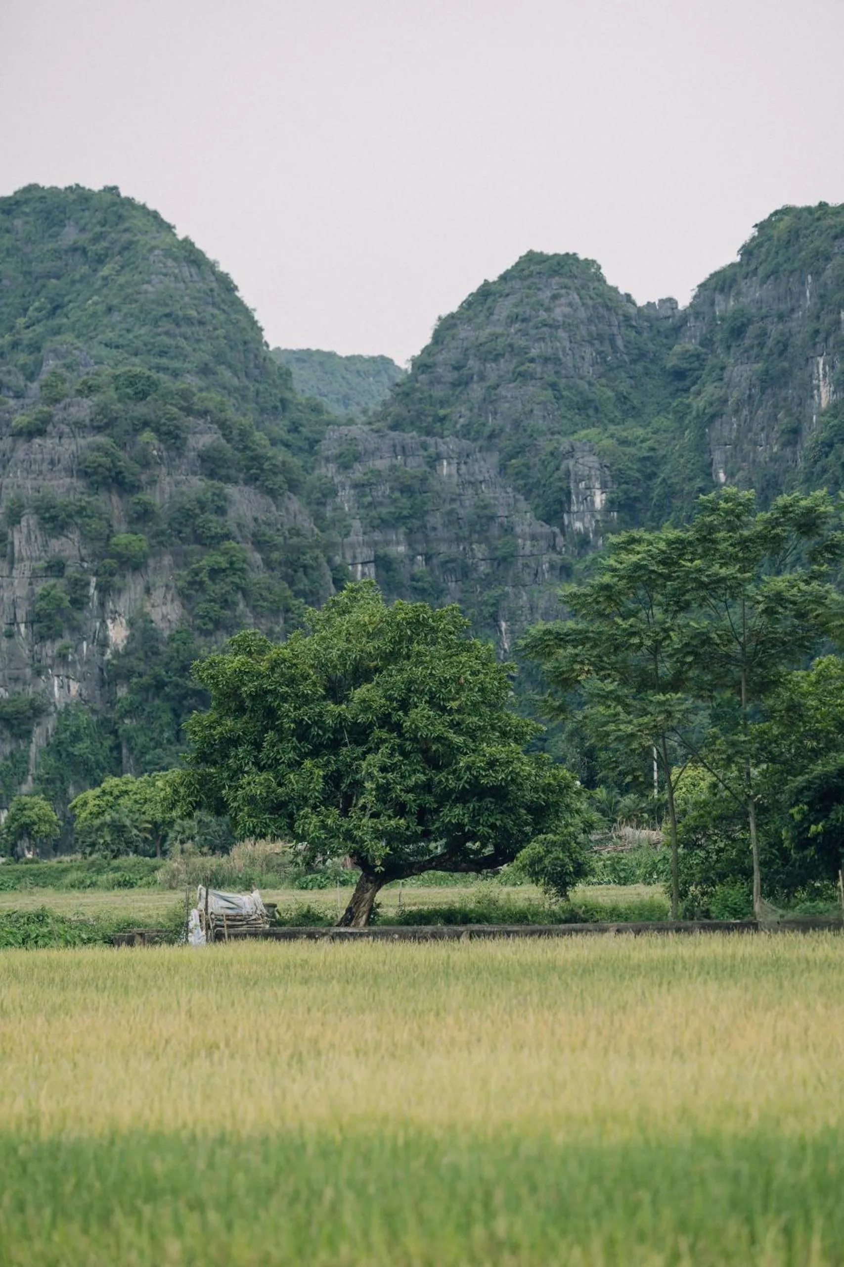 Nearby landmark in Tam Coc Windy Fields