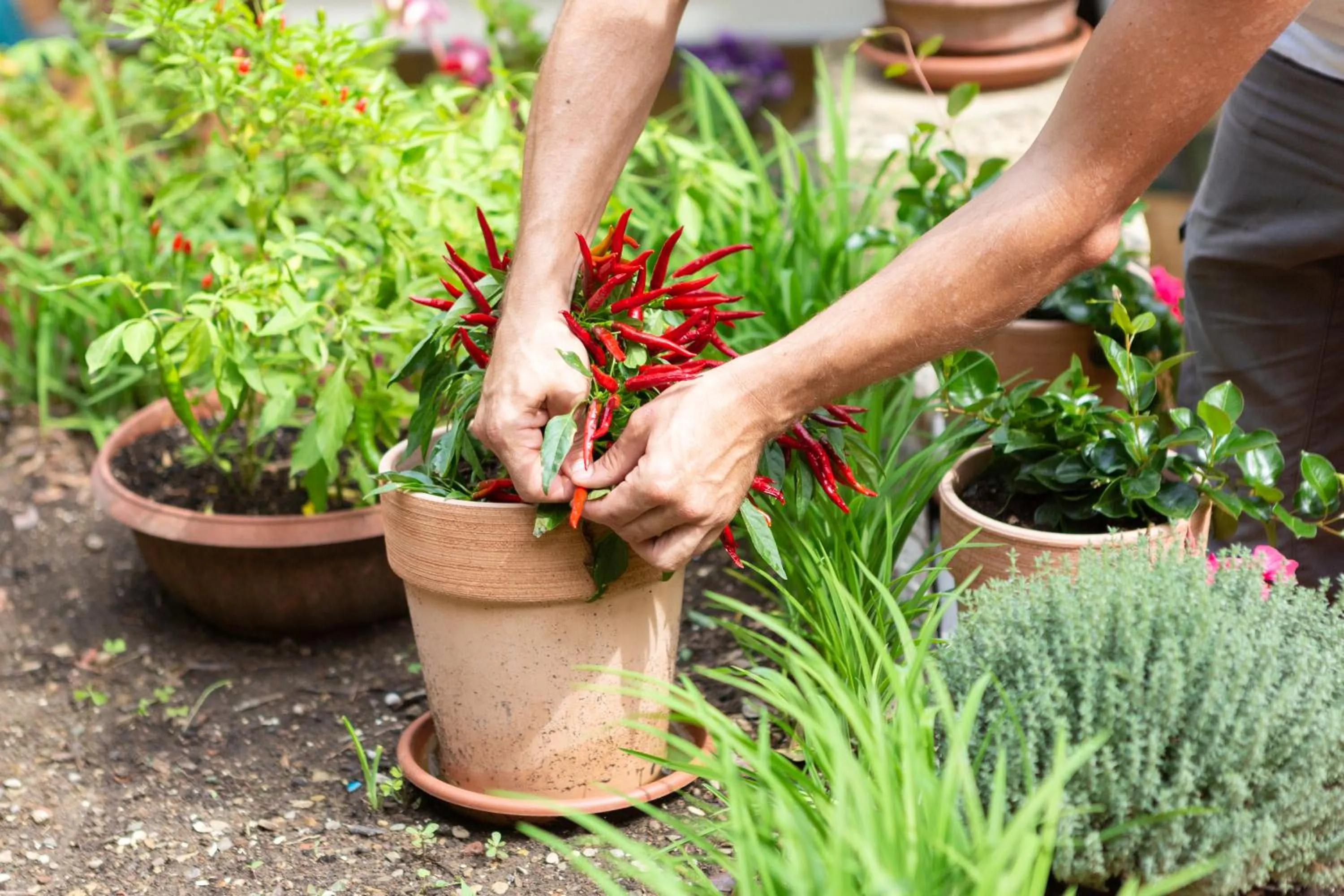 Spring in B&B Monte Oliveto