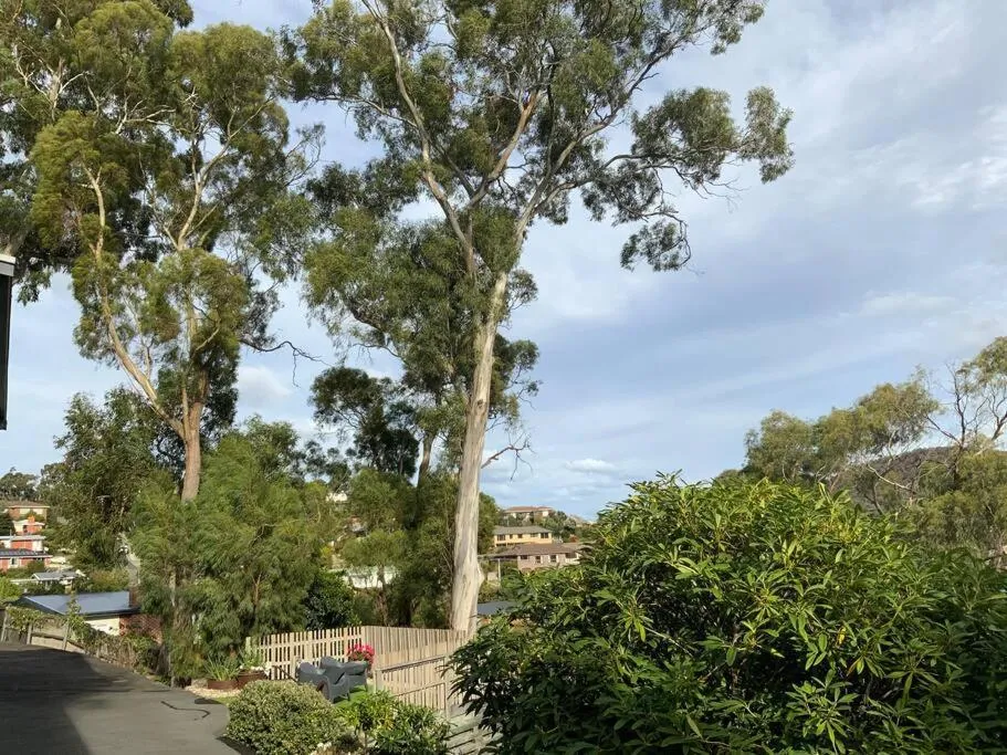 Spacious Apartment - Warm and Welcoming in Lindisfarne, 8 min from CBD