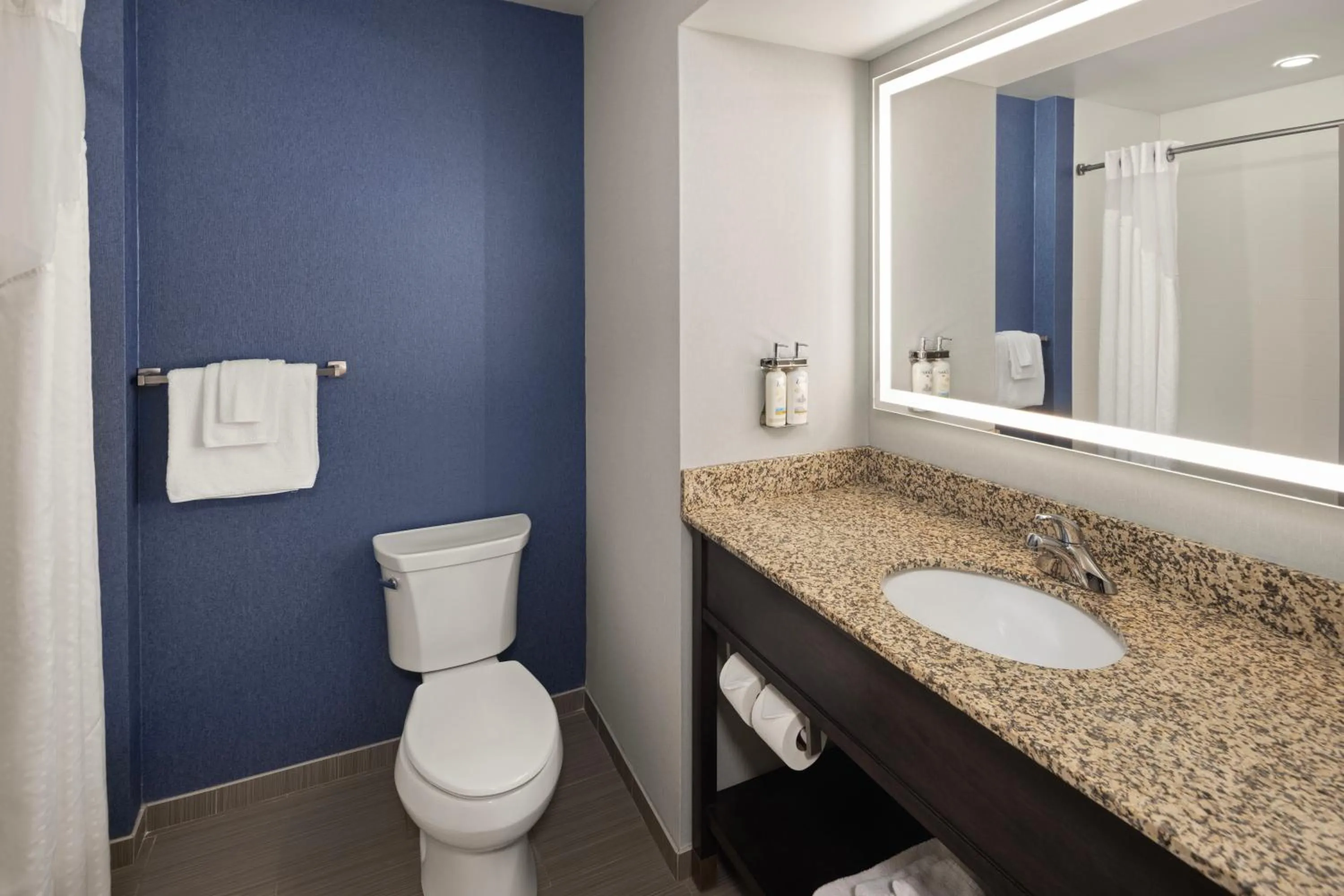 Bathroom in Holiday Inn Express Moline - Quad Cities Area by IHG