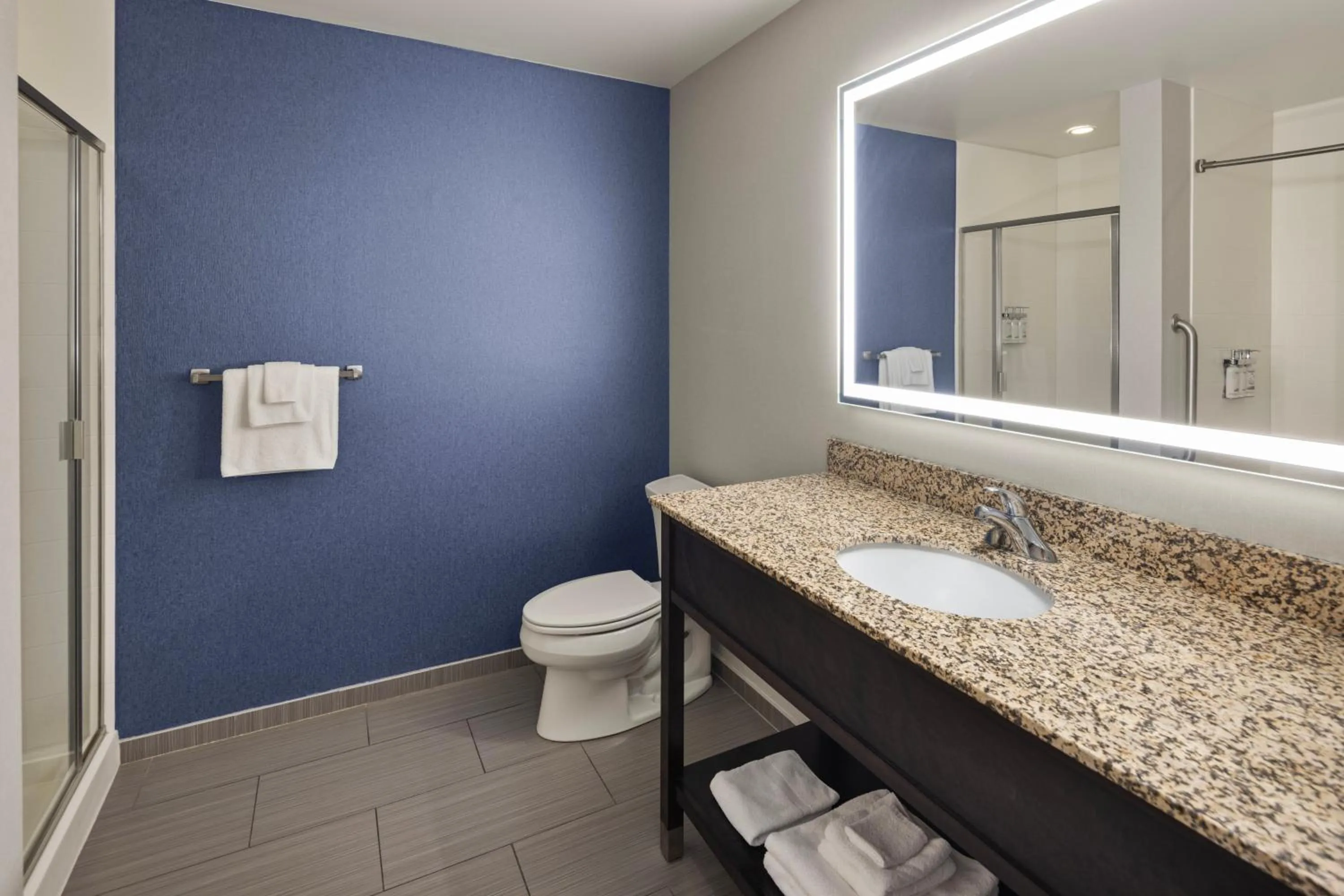 Bathroom in Holiday Inn Express Moline - Quad Cities Area by IHG