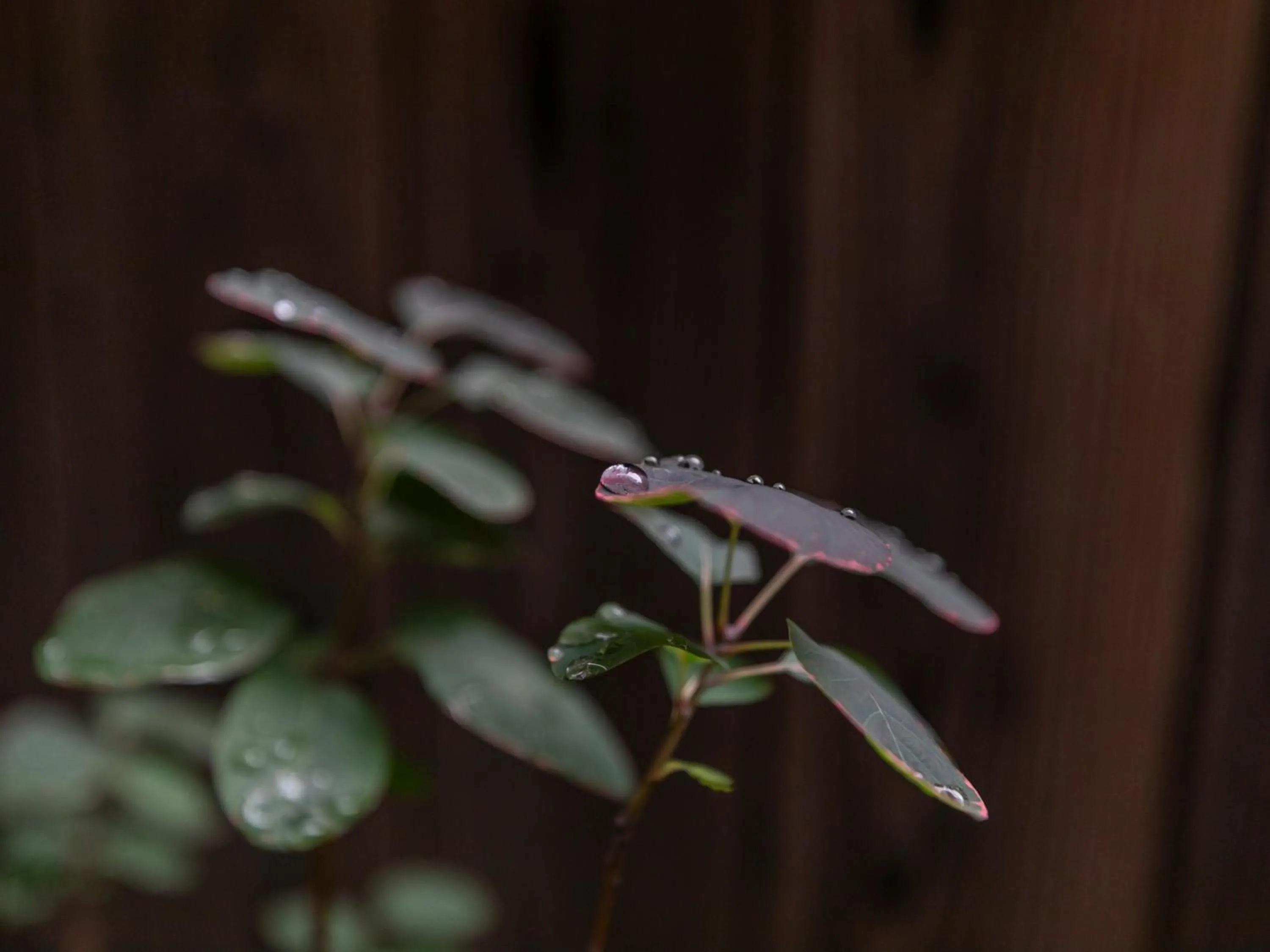 Property building in Tabist kiki HOTEL KYOTO Gojo Karasuma