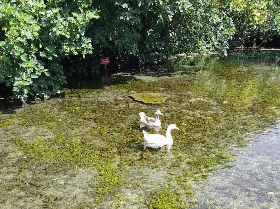 L atelier de RAYMOND