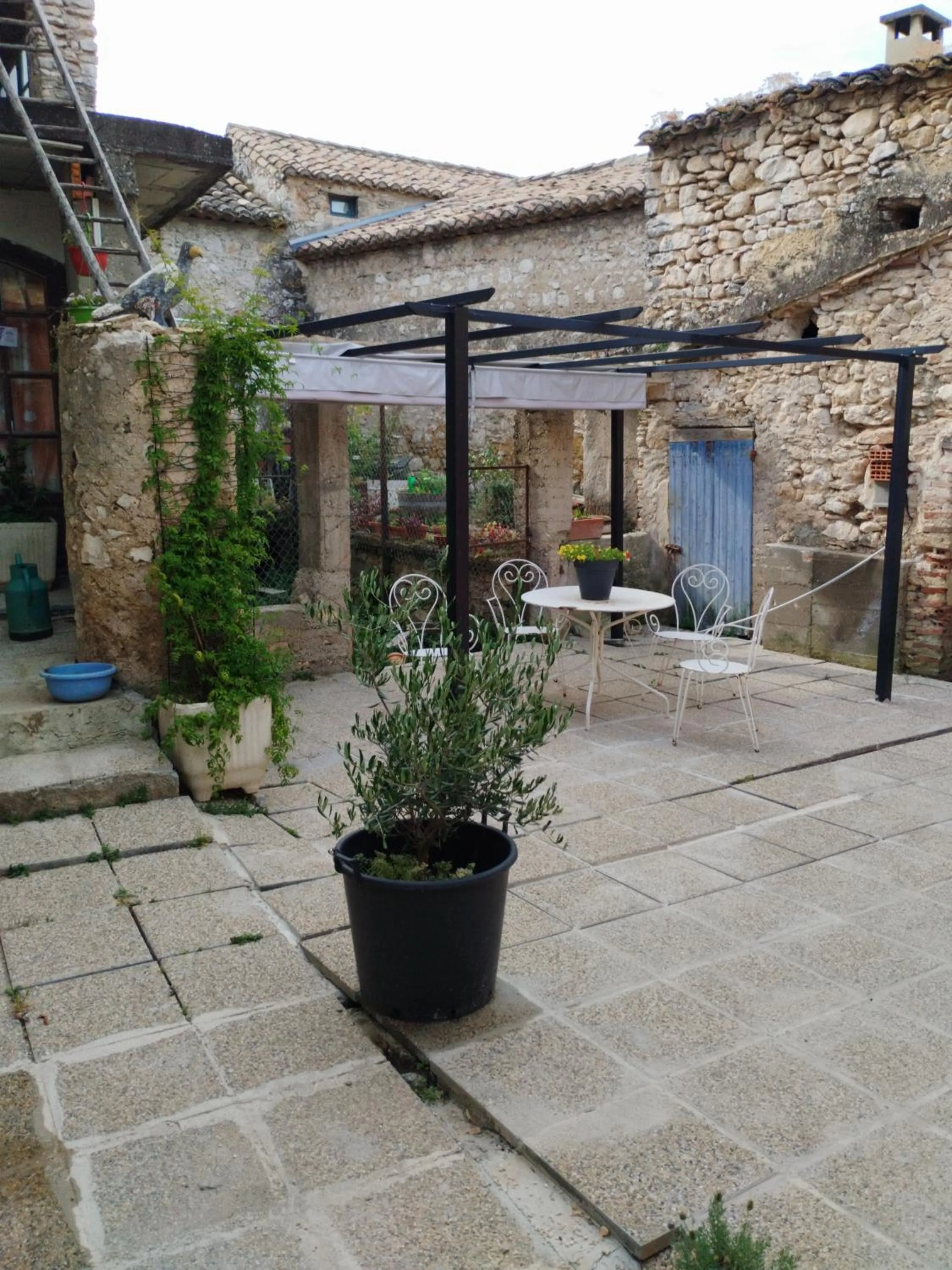 Garden in L atelier de RAYMOND