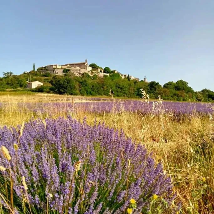 L atelier de RAYMOND