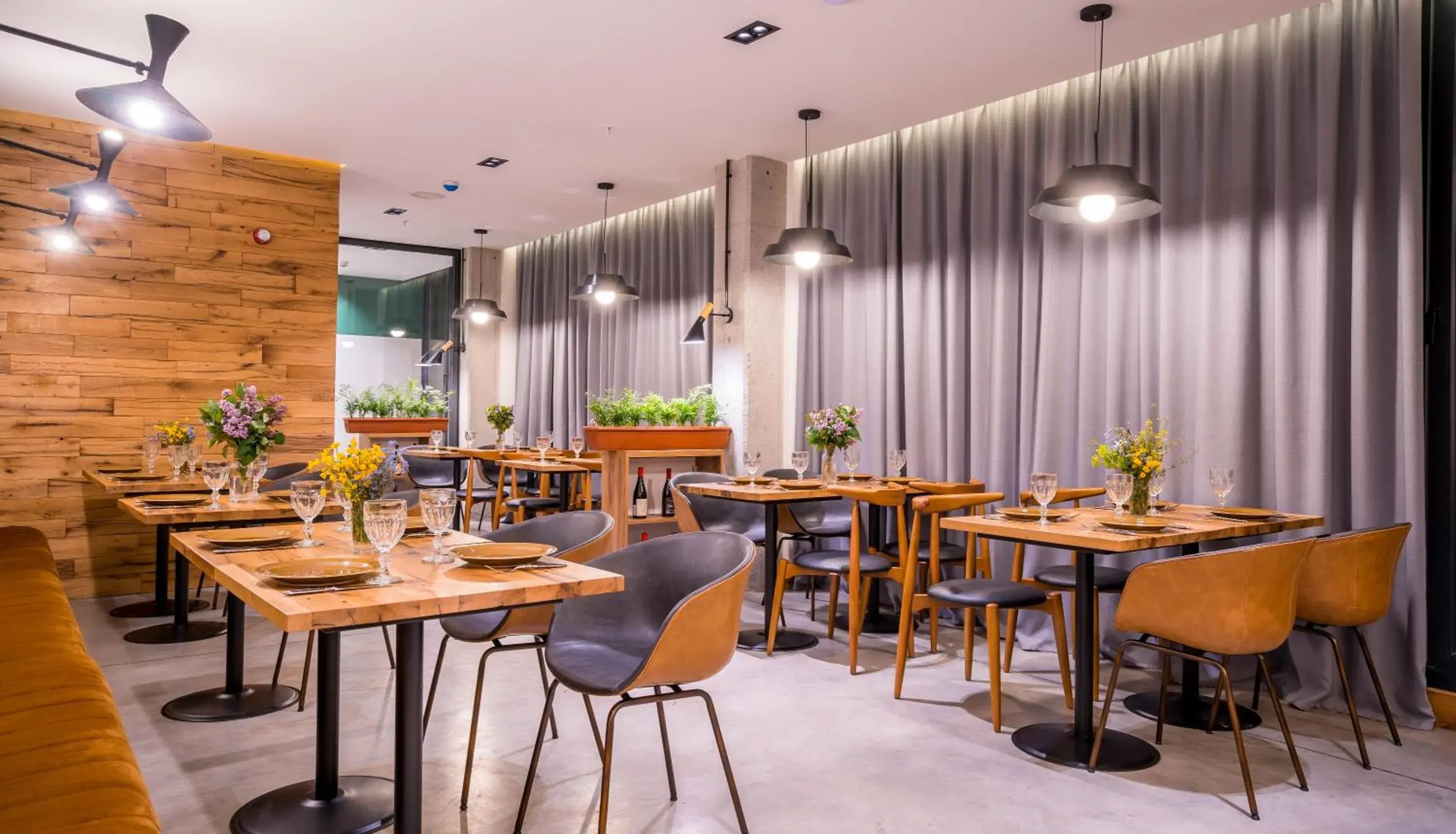 Restaurant/places to eat in Step Inn - Kazbegi Restaurant/places to eat in Step Inn - Kazbegi